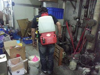 板橋消毒,板橋除蟲,新莊消毒,新莊除蟲,土城消毒,土城除蟲,五股消毒,五股除蟲,三重消毒,三重除蟲,中和消毒,中和除蟲,新店消毒,新店除蟲,中和消毒,中和除蟲,新店消毒,新店除蟲,永和除蟲,永和消毒,蘆洲除蟲,蘆洲消毒,三峽消毒,三峽除蟲,泰山消毒,泰山除蟲,樹林消毒,樹林除蟲,林口消毒,林口除蟲,迴龍消毒,迴龍除蟲,龜山消毒,龜山除蟲,台北市(全區)消毒除蟲,辦公室消毒(除蟲),社區消毒公告,社區環境消毒,社區消毒費用,社區消毒注意事項,社區消毒藥劑,社區消毒申請,社區消毒招標,社區大樓消毒,社區消毒公司,社區消毒,社區消毒公告,餐廳消毒(除蟲),餐廳消毒公司,餐廳消毒費用,餐廳消毒方法,餐廳消毒法規,餐廳消毒公告,餐廳消毒公司,環境消毒(除蟲),餐廳消毒(除蟲),環境消毒(除蟲),殺菌工程,辦公室消毒,辦公室消毒注意事項,辦公室消毒公告,辦公室消毒公司,辦公室消毒費用,辦公室消毒,辦公室消毒方式,辦公室消毒方法,辦公室消毒 diy,家裡消毒,家裡消毒方法,家裡消毒都用什麼消毒,消毒殺菌,家裡消毒要用什麼,居家消毒(除蟲),家裡除蟲,家裡除蚤,家裡除臭,家裡除蟑螂,跳蚤,跳蚤咬,跳蚤咬傷症狀,跳蚤防治,跳蚤怕什麼,跳蚤咬傷藥膏,跳蚤咬傷症狀,螞蟻怕什麼,螞蟻藥,白蟻防治,白蟻藥哪裡買,白蟻怕什麼,螞蟻怕什麼,白蟻消滅,白蟻藥,殺白蟻藥,殺白蟻的方法,殺白蟻公司,殺白蟻費用,蟑螂藥,蟑螂怕什麼,蟑螂圖片,蟑螂炸彈,蟑螂,蟑螂蛋,蟑螂小強,殺蟑螂最有效的方法,殺跳蚤的方法,殺跳蚤藥,殺跳蚤 diy,殺跳蚤殺蟲劑,殺跳蚤水煙,殺跳蚤卵,殺跳蚤公司,殺跳蚤劑,殺螞蟻的方法,殺螞蟻藥,殺螞蟻最有效的方法,殺螞蟻硼酸,殺螞蟻硼砂,殺螞蟻妙方,殺螞蟻窩,殺螞蟻硼酸,殺臭蟲方法,殺臭蟲藥,殺臭蟲劑,殺臭蟲公司,殺臭蟲水煙,殺臭蟲藥劑,殺蛀蟲藥,殺蛀蟲方法,殺蛀蟲劑,殺蛀蟲藥哪買,殺塵蹣,消毒公司推薦,除蟲公司推薦,除蟲專家,消毒清潔,飯店消毒除蟲,木板防蟲處理,防蟲處理,公司消毒除蟲,白蟻防治,KTV酒店消毒除蟲,廠房消毒除蟲,學校消毒除蟲,幼稚園消毒除蟲殺菌,空間殺菌,市場消毒除蟲,工廠消毒除蟲,汽車旅館消毒除蟲,住家消毒除蟲,大樓消毒除蟲,醫院消毒除蟲,機關消毒除蟲,公共場所消毒除蟲,鐵皮屋消毒除蟲,木料防治,腸病毒處理,除蟲公司價錢,消毒公司價錢,便宜消毒,跳蚤處理,白蟻處理,養老院消毒除蟲,營業場所消毒除蟲,蚊子,蒼蠅,蟑螂,德國蟑螂,老鼠,跳蚤,白蟻,蛀蟲,姬薪蟲,嚙蟲,臭蟲,台北消毒，台北除蟲，新北除蟲，新北消毒，板橋消毒，板橋除蟲，白蟻防治，餐廳消毒，消毒公司，除蟲公司，白蟻保固，環境消毒，辦公室消毒，台北除白蟻，除蟲專家，台北除跳蚤，消毒除蟲，蟲害防治，居家除蟲,除蟲服務,社區消毒