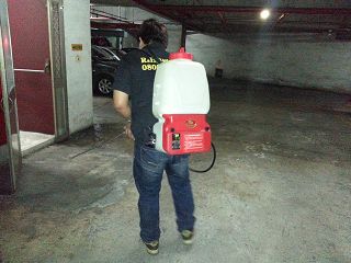 板橋消毒,板橋除蟲,新莊消毒,新莊除蟲,土城消毒,土城除蟲,五股消毒,五股除蟲,三重消毒,三重除蟲,中和消毒,中和除蟲,新店消毒,新店除蟲,中和消毒,中和除蟲,新店消毒,新店除蟲,永和除蟲,永和消毒,蘆洲除蟲,蘆洲消毒,三峽消毒,三峽除蟲,泰山消毒,泰山除蟲,樹林消毒,樹林除蟲,林口消毒,林口除蟲,迴龍消毒,迴龍除蟲,龜山消毒,龜山除蟲,台北市(全區)消毒除蟲,辦公室消毒(除蟲),社區消毒公告,社區環境消毒,社區消毒費用,社區消毒注意事項,社區消毒藥劑,社區消毒申請,社區消毒招標,社區大樓消毒,社區消毒公司,社區消毒,社區消毒公告,餐廳消毒(除蟲),餐廳消毒公司,餐廳消毒費用,餐廳消毒方法,餐廳消毒法規,餐廳消毒公告,餐廳消毒公司,環境消毒(除蟲),餐廳消毒(除蟲),環境消毒(除蟲),殺菌工程,辦公室消毒,辦公室消毒注意事項,辦公室消毒公告,辦公室消毒公司,辦公室消毒費用,辦公室消毒,辦公室消毒方式,辦公室消毒方法,辦公室消毒 diy,家裡消毒,家裡消毒方法,家裡消毒都用什麼消毒,消毒殺菌,家裡消毒要用什麼,居家消毒(除蟲),家裡除蟲,家裡除蚤,家裡除臭,家裡除蟑螂,跳蚤,跳蚤咬,跳蚤咬傷症狀,跳蚤防治,跳蚤怕什麼,跳蚤咬傷藥膏,跳蚤咬傷症狀,螞蟻怕什麼,螞蟻藥,白蟻防治,白蟻藥哪裡買,白蟻怕什麼,螞蟻怕什麼,白蟻消滅,白蟻藥,殺白蟻藥,殺白蟻的方法,殺白蟻公司,殺白蟻費用,蟑螂藥,蟑螂怕什麼,蟑螂圖片,蟑螂炸彈,蟑螂,蟑螂蛋,蟑螂小強,殺蟑螂最有效的方法,殺跳蚤的方法,殺跳蚤藥,殺跳蚤 diy,殺跳蚤殺蟲劑,殺跳蚤水煙,殺跳蚤卵,殺跳蚤公司,殺跳蚤劑,殺螞蟻的方法,殺螞蟻藥,殺螞蟻最有效的方法,殺螞蟻硼酸,殺螞蟻硼砂,殺螞蟻妙方,殺螞蟻窩,殺螞蟻硼酸,殺臭蟲方法,殺臭蟲藥,殺臭蟲劑,殺臭蟲公司,殺臭蟲水煙,殺臭蟲藥劑,殺蛀蟲藥,殺蛀蟲方法,殺蛀蟲劑,殺蛀蟲藥哪買,殺塵蹣,消毒公司推薦,除蟲公司推薦,除蟲專家,消毒清潔,飯店消毒除蟲,木板防蟲處理,防蟲處理,公司消毒除蟲,白蟻防治,KTV酒店消毒除蟲,廠房消毒除蟲,學校消毒除蟲,幼稚園消毒除蟲殺菌,空間殺菌,市場消毒除蟲,工廠消毒除蟲,汽車旅館消毒除蟲,住家消毒除蟲,大樓消毒除蟲,醫院消毒除蟲,機關消毒除蟲,公共場所消毒除蟲,鐵皮屋消毒除蟲,木料防治,腸病毒處理,除蟲公司價錢,消毒公司價錢,便宜消毒,跳蚤處理,白蟻處理,養老院消毒除蟲,營業場所消毒除蟲,蚊子,蒼蠅,蟑螂,德國蟑螂,老鼠,跳蚤,白蟻,蛀蟲,姬薪蟲,嚙蟲,臭蟲,台北消毒,台北除蟲,新北除蟲,新北消毒,板橋消毒,板橋除蟲,白蟻防治,餐廳消毒,消毒公司,除蟲公司,白蟻保固,環境消毒,辦公室消毒,台北除白蟻,除蟲專家,台北除跳蚤,消毒除蟲,蟲害防治,居家除蟲,除蟲服務,社區消毒,幼兒園消毒,托嬰中心消毒,跳蚤防治,跳蚤處理,殺跳蚤 板橋消毒,板橋除蟲,新莊消毒,新莊除蟲,土城消毒,土城除蟲,五股消毒,五股除蟲,三重消毒,三重除蟲,中和消毒,中和除蟲,新店消毒,新店除蟲,中和消毒,中和除蟲,新店消毒,新店除蟲,永和除蟲,永和消毒,蘆洲除蟲,蘆洲消毒,三峽消毒,三峽除蟲,泰山消毒,泰山除蟲,樹林消毒,樹林除蟲,林口消毒,林口除蟲,迴龍消毒,迴龍除蟲,龜山消毒,龜山除蟲,台北市(全區)消毒除蟲,辦公室消毒(除蟲),社區消毒公告,社區環境消毒,社區消毒費用,社區消毒注意事項,社區消毒藥劑,社區消毒申請,社區消毒招標,社區大樓消毒,社區消毒公司,社區消毒,社區消毒公告,餐廳消毒(除蟲),餐廳消毒公司,餐廳消毒費用,餐廳消毒方法,餐廳消毒法規,餐廳消毒公告,餐廳消毒公司,環境消毒(除蟲),餐廳消毒(除蟲),環境消毒(除蟲),殺菌工程,辦公室消毒,辦公室消毒注意事項,辦公室消毒公告,辦公室消毒公司,辦公室消毒費用,辦公室消毒,辦公室消毒方式,辦公室消毒方法,辦公室消毒 diy,家裡消毒,家裡消毒方法,家裡消毒都用什麼消毒,消毒殺菌,家裡消毒要用什麼,居家消毒(除蟲),家裡除蟲,家裡除蚤,家裡除臭,家裡除蟑螂,跳蚤,跳蚤咬,跳蚤咬傷症狀,跳蚤防治,跳蚤怕什麼,跳蚤咬傷藥膏,跳蚤咬傷症狀,螞蟻怕什麼,螞蟻藥,白蟻防治,白蟻藥哪裡買,白蟻怕什麼,螞蟻怕什麼,白蟻消滅,白蟻藥,殺白蟻藥,殺白蟻的方法,殺白蟻公司,殺白蟻費用,蟑螂藥,蟑螂怕什麼,蟑螂圖片,蟑螂炸彈,蟑螂,蟑螂蛋,蟑螂小強,殺蟑螂最有效的方法,殺跳蚤的方法,殺跳蚤藥,殺跳蚤 diy,殺跳蚤殺蟲劑,殺跳蚤水煙,殺跳蚤卵,殺跳蚤公司,殺跳蚤劑,殺螞蟻的方法,殺螞蟻藥,殺螞蟻最有效的方法,殺螞蟻硼酸,殺螞蟻硼砂,殺螞蟻妙方,殺螞蟻窩,殺螞蟻硼酸,殺臭蟲方法,殺臭蟲藥,殺臭蟲劑,殺臭蟲公司,殺臭蟲水煙,殺臭蟲藥劑,殺蛀蟲藥,殺蛀蟲方法,殺蛀蟲劑,殺蛀蟲藥哪買,殺塵蹣,消毒公司推薦,除蟲公司推薦,除蟲專家,消毒清潔,飯店消毒除蟲,木板防蟲處理,防蟲處理,公司消毒除蟲,白蟻防治,KTV酒店消毒除蟲,廠房消毒除蟲,學校消毒除蟲,幼稚園消毒除蟲殺菌,空間殺菌,市場消毒除蟲,工廠消毒除蟲,汽車旅館消毒除蟲,住家消毒除蟲,大樓消毒除蟲,醫院消毒除蟲,機關消毒除蟲,公共場所消毒除蟲,鐵皮屋消毒除蟲,木料防治,腸病毒處理,除蟲公司價錢,消毒公司價錢,便宜消毒,跳蚤處理,白蟻處理,養老院消毒除蟲,營業場所消毒除蟲,蚊子,蒼蠅,蟑螂,德國蟑螂,老鼠,跳蚤,白蟻,蛀蟲,姬薪蟲,嚙蟲,臭蟲,台北消毒,台北除蟲,新北除蟲,新北消毒,板橋消毒,板橋除蟲,白蟻防治,餐廳消毒,消毒公司,除蟲公司,白蟻保固,環境消毒,辦公室消毒,台北除白蟻,除蟲專家,台北除跳蚤,消毒除蟲,蟲害防治,居家除蟲,除蟲服務,社區消毒,幼兒園消毒,托嬰中心消毒,跳蚤防治,跳蚤處理,殺跳蚤