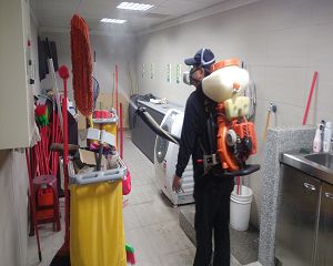 板橋消毒,板橋除蟲,新莊消毒,新莊除蟲,土城消毒,土城除蟲,五股消毒,五股除蟲,三重消毒,三重除蟲,中和消毒,中和除蟲,新店消毒,新店除蟲,中和消毒,中和除蟲,新店消毒,新店除蟲,永和除蟲,永和消毒,蘆洲除蟲,蘆洲消毒,三峽消毒,三峽除蟲,泰山消毒,泰山除蟲,樹林消毒,樹林除蟲,林口消毒,林口除蟲,迴龍消毒,迴龍除蟲,龜山消毒,龜山除蟲,台北市(全區)消毒除蟲,辦公室消毒(除蟲),社區消毒公告,社區環境消毒,社區消毒費用,社區消毒注意事項,社區消毒藥劑,社區消毒申請,社區消毒招標,社區大樓消毒,社區消毒公司,社區消毒,社區消毒公告,餐廳消毒(除蟲),餐廳消毒公司,餐廳消毒費用,餐廳消毒方法,餐廳消毒法規,餐廳消毒公告,餐廳消毒公司,環境消毒(除蟲),餐廳消毒(除蟲),環境消毒(除蟲),殺菌工程,辦公室消毒,辦公室消毒注意事項,辦公室消毒公告,辦公室消毒公司,辦公室消毒費用,辦公室消毒,辦公室消毒方式,辦公室消毒方法,辦公室消毒 diy,家裡消毒,家裡消毒方法,家裡消毒都用什麼消毒,消毒殺菌,家裡消毒要用什麼,居家消毒(除蟲),家裡除蟲,家裡除蚤,家裡除臭,家裡除蟑螂,跳蚤,跳蚤咬,跳蚤咬傷症狀,跳蚤防治,跳蚤怕什麼,跳蚤咬傷藥膏,跳蚤咬傷症狀,螞蟻怕什麼,螞蟻藥,白蟻防治,白蟻藥哪裡買,白蟻怕什麼,螞蟻怕什麼,白蟻消滅,白蟻藥,殺白蟻藥,殺白蟻的方法,殺白蟻公司,殺白蟻費用,蟑螂藥,蟑螂怕什麼,蟑螂圖片,蟑螂炸彈,蟑螂,蟑螂蛋,蟑螂小強,殺蟑螂最有效的方法,殺跳蚤的方法,殺跳蚤藥,殺跳蚤 diy,殺跳蚤殺蟲劑,殺跳蚤水煙,殺跳蚤卵,殺跳蚤公司,殺跳蚤劑,殺螞蟻的方法,殺螞蟻藥,殺螞蟻最有效的方法,殺螞蟻硼酸,殺螞蟻硼砂,殺螞蟻妙方,殺螞蟻窩,殺螞蟻硼酸,殺臭蟲方法,殺臭蟲藥,殺臭蟲劑,殺臭蟲公司,殺臭蟲水煙,殺臭蟲藥劑,殺蛀蟲藥,殺蛀蟲方法,殺蛀蟲劑,殺蛀蟲藥哪買,殺塵蹣,消毒公司推薦,除蟲公司推薦,除蟲專家,消毒清潔,飯店消毒除蟲,木板防蟲處理,防蟲處理,公司消毒除蟲,白蟻防治,KTV酒店消毒除蟲,廠房消毒除蟲,學校消毒除蟲,幼稚園消毒除蟲殺菌,空間殺菌,市場消毒除蟲,工廠消毒除蟲,汽車旅館消毒除蟲,住家消毒除蟲,大樓消毒除蟲,醫院消毒除蟲,機關消毒除蟲,公共場所消毒除蟲,鐵皮屋消毒除蟲,木料防治,腸病毒處理,除蟲公司價錢,消毒公司價錢,便宜消毒,跳蚤處理,白蟻處理,養老院消毒除蟲,營業場所消毒除蟲,蚊子,蒼蠅,蟑螂,德國蟑螂,老鼠,跳蚤,白蟻,蛀蟲,姬薪蟲,嚙蟲,臭蟲,台北消毒,台北除蟲,新北除蟲,新北消毒,板橋消毒,板橋除蟲,白蟻防治,餐廳消毒,消毒公司,除蟲公司,白蟻保固,環境消毒,辦公室消毒,台北除白蟻,除蟲專家,台北除跳蚤,消毒除蟲,蟲害防治,居家除蟲,除蟲服務,社區消毒,幼兒園消毒,托嬰中心消毒,跳蚤防治,跳蚤處理,殺跳蚤 板橋消毒,板橋除蟲,新莊消毒,新莊除蟲,土城消毒,土城除蟲,五股消毒,五股除蟲,三重消毒,三重除蟲,中和消毒,中和除蟲,新店消毒,新店除蟲,中和消毒,中和除蟲,新店消毒,新店除蟲,永和除蟲,永和消毒,蘆洲除蟲,蘆洲消毒,三峽消毒,三峽除蟲,泰山消毒,泰山除蟲,樹林消毒,樹林除蟲,林口消毒,林口除蟲,迴龍消毒,迴龍除蟲,龜山消毒,龜山除蟲,台北市(全區)消毒除蟲,辦公室消毒(除蟲),社區消毒公告,社區環境消毒,社區消毒費用,社區消毒注意事項,社區消毒藥劑,社區消毒申請,社區消毒招標,社區大樓消毒,社區消毒公司,社區消毒,社區消毒公告,餐廳消毒(除蟲),餐廳消毒公司,餐廳消毒費用,餐廳消毒方法,餐廳消毒法規,餐廳消毒公告,餐廳消毒公司,環境消毒(除蟲),餐廳消毒(除蟲),環境消毒(除蟲),殺菌工程,辦公室消毒,辦公室消毒注意事項,辦公室消毒公告,辦公室消毒公司,辦公室消毒費用,辦公室消毒,辦公室消毒方式,辦公室消毒方法,辦公室消毒 diy,家裡消毒,家裡消毒方法,家裡消毒都用什麼消毒,消毒殺菌,家裡消毒要用什麼,居家消毒(除蟲),家裡除蟲,家裡除蚤,家裡除臭,家裡除蟑螂,跳蚤,跳蚤咬,跳蚤咬傷症狀,跳蚤防治,跳蚤怕什麼,跳蚤咬傷藥膏,跳蚤咬傷症狀,螞蟻怕什麼,螞蟻藥,白蟻防治,白蟻藥哪裡買,白蟻怕什麼,螞蟻怕什麼,白蟻消滅,白蟻藥,殺白蟻藥,殺白蟻的方法,殺白蟻公司,殺白蟻費用,蟑螂藥,蟑螂怕什麼,蟑螂圖片,蟑螂炸彈,蟑螂,蟑螂蛋,蟑螂小強,殺蟑螂最有效的方法,殺跳蚤的方法,殺跳蚤藥,殺跳蚤 diy,殺跳蚤殺蟲劑,殺跳蚤水煙,殺跳蚤卵,殺跳蚤公司,殺跳蚤劑,殺螞蟻的方法,殺螞蟻藥,殺螞蟻最有效的方法,殺螞蟻硼酸,殺螞蟻硼砂,殺螞蟻妙方,殺螞蟻窩,殺螞蟻硼酸,殺臭蟲方法,殺臭蟲藥,殺臭蟲劑,殺臭蟲公司,殺臭蟲水煙,殺臭蟲藥劑,殺蛀蟲藥,殺蛀蟲方法,殺蛀蟲劑,殺蛀蟲藥哪買,殺塵蹣,消毒公司推薦,除蟲公司推薦,除蟲專家,消毒清潔,飯店消毒除蟲,木板防蟲處理,防蟲處理,公司消毒除蟲,白蟻防治,KTV酒店消毒除蟲,廠房消毒除蟲,學校消毒除蟲,幼稚園消毒除蟲殺菌,空間殺菌,市場消毒除蟲,工廠消毒除蟲,汽車旅館消毒除蟲,住家消毒除蟲,大樓消毒除蟲,醫院消毒除蟲,機關消毒除蟲,公共場所消毒除蟲,鐵皮屋消毒除蟲,木料防治,腸病毒處理,除蟲公司價錢,消毒公司價錢,便宜消毒,跳蚤處理,白蟻處理,養老院消毒除蟲,營業場所消毒除蟲,蚊子,蒼蠅,蟑螂,德國蟑螂,老鼠,跳蚤,白蟻,蛀蟲,姬薪蟲,嚙蟲,臭蟲,台北消毒,台北除蟲,新北除蟲,新北消毒,板橋消毒,板橋除蟲,白蟻防治,餐廳消毒,消毒公司,除蟲公司,白蟻保固,環境消毒,辦公室消毒,台北除白蟻,除蟲專家,台北除跳蚤,消毒除蟲,蟲害防治,居家除蟲,除蟲服務,社區消毒,幼兒園消毒,托嬰中心消毒,跳蚤防治,跳蚤處理,殺跳蚤