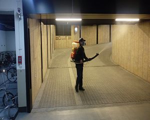 板橋消毒,板橋除蟲,新莊消毒,新莊除蟲,土城消毒,土城除蟲,五股消毒,五股除蟲,三重消毒,三重除蟲,中和消毒,中和除蟲,新店消毒,新店除蟲,中和消毒,中和除蟲,新店消毒,新店除蟲,永和除蟲,永和消毒,蘆洲除蟲,蘆洲消毒,三峽消毒,三峽除蟲,泰山消毒,泰山除蟲,樹林消毒,樹林除蟲,林口消毒,林口除蟲,迴龍消毒,迴龍除蟲,龜山消毒,龜山除蟲,台北市(全區)消毒除蟲,辦公室消毒(除蟲),社區消毒公告,社區環境消毒,社區消毒費用,社區消毒注意事項,社區消毒藥劑,社區消毒申請,社區消毒招標,社區大樓消毒,社區消毒公司,社區消毒,社區消毒公告,餐廳消毒(除蟲),餐廳消毒公司,餐廳消毒費用,餐廳消毒方法,餐廳消毒法規,餐廳消毒公告,餐廳消毒公司,環境消毒(除蟲),餐廳消毒(除蟲),環境消毒(除蟲),殺菌工程,辦公室消毒,辦公室消毒注意事項,辦公室消毒公告,辦公室消毒公司,辦公室消毒費用,辦公室消毒,辦公室消毒方式,辦公室消毒方法,辦公室消毒 diy,家裡消毒,家裡消毒方法,家裡消毒都用什麼消毒,消毒殺菌,家裡消毒要用什麼,居家消毒(除蟲),家裡除蟲,家裡除蚤,家裡除臭,家裡除蟑螂,跳蚤,跳蚤咬,跳蚤咬傷症狀,跳蚤防治,跳蚤怕什麼,跳蚤咬傷藥膏,跳蚤咬傷症狀,螞蟻怕什麼,螞蟻藥,白蟻防治,白蟻藥哪裡買,白蟻怕什麼,螞蟻怕什麼,白蟻消滅,白蟻藥,殺白蟻藥,殺白蟻的方法,殺白蟻公司,殺白蟻費用,蟑螂藥,蟑螂怕什麼,蟑螂圖片,蟑螂炸彈,蟑螂,蟑螂蛋,蟑螂小強,殺蟑螂最有效的方法,殺跳蚤的方法,殺跳蚤藥,殺跳蚤 diy,殺跳蚤殺蟲劑,殺跳蚤水煙,殺跳蚤卵,殺跳蚤公司,殺跳蚤劑,殺螞蟻的方法,殺螞蟻藥,殺螞蟻最有效的方法,殺螞蟻硼酸,殺螞蟻硼砂,殺螞蟻妙方,殺螞蟻窩,殺螞蟻硼酸,殺臭蟲方法,殺臭蟲藥,殺臭蟲劑,殺臭蟲公司,殺臭蟲水煙,殺臭蟲藥劑,殺蛀蟲藥,殺蛀蟲方法,殺蛀蟲劑,殺蛀蟲藥哪買,殺塵蹣,消毒公司推薦,除蟲公司推薦,除蟲專家,消毒清潔,飯店消毒除蟲,木板防蟲處理,防蟲處理,公司消毒除蟲,白蟻防治,KTV酒店消毒除蟲,廠房消毒除蟲,學校消毒除蟲,幼稚園消毒除蟲殺菌,空間殺菌,市場消毒除蟲,工廠消毒除蟲,汽車旅館消毒除蟲,住家消毒除蟲,大樓消毒除蟲,醫院消毒除蟲,機關消毒除蟲,公共場所消毒除蟲,鐵皮屋消毒除蟲,木料防治,腸病毒處理,除蟲公司價錢,消毒公司價錢,便宜消毒,跳蚤處理,白蟻處理,養老院消毒除蟲,營業場所消毒除蟲,蚊子,蒼蠅,蟑螂,德國蟑螂,老鼠,跳蚤,白蟻,蛀蟲,姬薪蟲,嚙蟲,臭蟲,台北消毒,台北除蟲,新北除蟲,新北消毒,板橋消毒,板橋除蟲,白蟻防治,餐廳消毒,消毒公司,除蟲公司,白蟻保固,環境消毒,辦公室消毒,台北除白蟻,除蟲專家,台北除跳蚤,消毒除蟲,蟲害防治,居家除蟲,除蟲服務,社區消毒,幼兒園消毒,托嬰中心消毒,跳蚤防治,跳蚤處理,殺跳蚤 板橋消毒,板橋除蟲,新莊消毒,新莊除蟲,土城消毒,土城除蟲,五股消毒,五股除蟲,三重消毒,三重除蟲,中和消毒,中和除蟲,新店消毒,新店除蟲,中和消毒,中和除蟲,新店消毒,新店除蟲,永和除蟲,永和消毒,蘆洲除蟲,蘆洲消毒,三峽消毒,三峽除蟲,泰山消毒,泰山除蟲,樹林消毒,樹林除蟲,林口消毒,林口除蟲,迴龍消毒,迴龍除蟲,龜山消毒,龜山除蟲,台北市(全區)消毒除蟲,辦公室消毒(除蟲),社區消毒公告,社區環境消毒,社區消毒費用,社區消毒注意事項,社區消毒藥劑,社區消毒申請,社區消毒招標,社區大樓消毒,社區消毒公司,社區消毒,社區消毒公告,餐廳消毒(除蟲),餐廳消毒公司,餐廳消毒費用,餐廳消毒方法,餐廳消毒法規,餐廳消毒公告,餐廳消毒公司,環境消毒(除蟲),餐廳消毒(除蟲),環境消毒(除蟲),殺菌工程,辦公室消毒,辦公室消毒注意事項,辦公室消毒公告,辦公室消毒公司,辦公室消毒費用,辦公室消毒,辦公室消毒方式,辦公室消毒方法,辦公室消毒 diy,家裡消毒,家裡消毒方法,家裡消毒都用什麼消毒,消毒殺菌,家裡消毒要用什麼,居家消毒(除蟲),家裡除蟲,家裡除蚤,家裡除臭,家裡除蟑螂,跳蚤,跳蚤咬,跳蚤咬傷症狀,跳蚤防治,跳蚤怕什麼,跳蚤咬傷藥膏,跳蚤咬傷症狀,螞蟻怕什麼,螞蟻藥,白蟻防治,白蟻藥哪裡買,白蟻怕什麼,螞蟻怕什麼,白蟻消滅,白蟻藥,殺白蟻藥,殺白蟻的方法,殺白蟻公司,殺白蟻費用,蟑螂藥,蟑螂怕什麼,蟑螂圖片,蟑螂炸彈,蟑螂,蟑螂蛋,蟑螂小強,殺蟑螂最有效的方法,殺跳蚤的方法,殺跳蚤藥,殺跳蚤 diy,殺跳蚤殺蟲劑,殺跳蚤水煙,殺跳蚤卵,殺跳蚤公司,殺跳蚤劑,殺螞蟻的方法,殺螞蟻藥,殺螞蟻最有效的方法,殺螞蟻硼酸,殺螞蟻硼砂,殺螞蟻妙方,殺螞蟻窩,殺螞蟻硼酸,殺臭蟲方法,殺臭蟲藥,殺臭蟲劑,殺臭蟲公司,殺臭蟲水煙,殺臭蟲藥劑,殺蛀蟲藥,殺蛀蟲方法,殺蛀蟲劑,殺蛀蟲藥哪買,殺塵蹣,消毒公司推薦,除蟲公司推薦,除蟲專家,消毒清潔,飯店消毒除蟲,木板防蟲處理,防蟲處理,公司消毒除蟲,白蟻防治,KTV酒店消毒除蟲,廠房消毒除蟲,學校消毒除蟲,幼稚園消毒除蟲殺菌,空間殺菌,市場消毒除蟲,工廠消毒除蟲,汽車旅館消毒除蟲,住家消毒除蟲,大樓消毒除蟲,醫院消毒除蟲,機關消毒除蟲,公共場所消毒除蟲,鐵皮屋消毒除蟲,木料防治,腸病毒處理,除蟲公司價錢,消毒公司價錢,便宜消毒,跳蚤處理,白蟻處理,養老院消毒除蟲,營業場所消毒除蟲,蚊子,蒼蠅,蟑螂,德國蟑螂,老鼠,跳蚤,白蟻,蛀蟲,姬薪蟲,嚙蟲,臭蟲,台北消毒,台北除蟲,新北除蟲,新北消毒,板橋消毒,板橋除蟲,白蟻防治,餐廳消毒,消毒公司,除蟲公司,白蟻保固,環境消毒,辦公室消毒,台北除白蟻,除蟲專家,台北除跳蚤,消毒除蟲,蟲害防治,居家除蟲,除蟲服務,社區消毒,幼兒園消毒,托嬰中心消毒,跳蚤防治,跳蚤處理,殺跳蚤