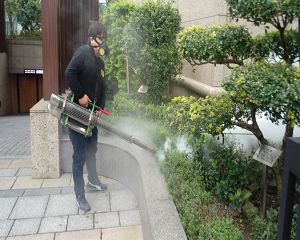 板橋消毒,板橋除蟲,新莊消毒,新莊除蟲,土城消毒,土城除蟲,五股消毒,五股除蟲,三重消毒,三重除蟲,中和消毒,中和除蟲,新店消毒,新店除蟲,中和消毒,中和除蟲,新店消毒,新店除蟲,永和除蟲,永和消毒,蘆洲除蟲,蘆洲消毒,三峽消毒,三峽除蟲,泰山消毒,泰山除蟲,樹林消毒,樹林除蟲,林口消毒,林口除蟲,迴龍消毒,迴龍除蟲,龜山消毒,龜山除蟲,台北市(全區)消毒除蟲,辦公室消毒(除蟲),社區消毒公告,社區環境消毒,社區消毒費用,社區消毒注意事項,社區消毒藥劑,社區消毒申請,社區消毒招標,社區大樓消毒,社區消毒公司,社區消毒,社區消毒公告,餐廳消毒(除蟲),餐廳消毒公司,餐廳消毒費用,餐廳消毒方法,餐廳消毒法規,餐廳消毒公告,餐廳消毒公司,環境消毒(除蟲),餐廳消毒(除蟲),環境消毒(除蟲),殺菌工程,辦公室消毒,辦公室消毒注意事項,辦公室消毒公告,辦公室消毒公司,辦公室消毒費用,辦公室消毒,辦公室消毒方式,辦公室消毒方法,辦公室消毒 diy,家裡消毒,家裡消毒方法,家裡消毒都用什麼消毒,消毒殺菌,家裡消毒要用什麼,居家消毒(除蟲),家裡除蟲,家裡除蚤,家裡除臭,家裡除蟑螂,跳蚤,跳蚤咬,跳蚤咬傷症狀,跳蚤防治,跳蚤怕什麼,跳蚤咬傷藥膏,跳蚤咬傷症狀,螞蟻怕什麼,螞蟻藥,白蟻防治,白蟻藥哪裡買,白蟻怕什麼,螞蟻怕什麼,白蟻消滅,白蟻藥,殺白蟻藥,殺白蟻的方法,殺白蟻公司,殺白蟻費用,蟑螂藥,蟑螂怕什麼,蟑螂圖片,蟑螂炸彈,蟑螂,蟑螂蛋,蟑螂小強,殺蟑螂最有效的方法,殺跳蚤的方法,殺跳蚤藥,殺跳蚤 diy,殺跳蚤殺蟲劑,殺跳蚤水煙,殺跳蚤卵,殺跳蚤公司,殺跳蚤劑,殺螞蟻的方法,殺螞蟻藥,殺螞蟻最有效的方法,殺螞蟻硼酸,殺螞蟻硼砂,殺螞蟻妙方,殺螞蟻窩,殺螞蟻硼酸,殺臭蟲方法,殺臭蟲藥,殺臭蟲劑,殺臭蟲公司,殺臭蟲水煙,殺臭蟲藥劑,殺蛀蟲藥,殺蛀蟲方法,殺蛀蟲劑,殺蛀蟲藥哪買,殺塵蹣,消毒公司推薦,除蟲公司推薦,除蟲專家,消毒清潔,飯店消毒除蟲,木板防蟲處理,防蟲處理,公司消毒除蟲,白蟻防治,KTV酒店消毒除蟲,廠房消毒除蟲,學校消毒除蟲,幼稚園消毒除蟲殺菌,空間殺菌,市場消毒除蟲,工廠消毒除蟲,汽車旅館消毒除蟲,住家消毒除蟲,大樓消毒除蟲,醫院消毒除蟲,機關消毒除蟲,公共場所消毒除蟲,鐵皮屋消毒除蟲,木料防治,腸病毒處理,除蟲公司價錢,消毒公司價錢,便宜消毒,跳蚤處理,白蟻處理,養老院消毒除蟲,營業場所消毒除蟲,蚊子,蒼蠅,蟑螂,德國蟑螂,老鼠,跳蚤,白蟻,蛀蟲,姬薪蟲,嚙蟲,臭蟲,台北消毒,台北除蟲,新北除蟲,新北消毒,板橋消毒,板橋除蟲,白蟻防治,餐廳消毒,消毒公司,除蟲公司,白蟻保固,環境消毒,辦公室消毒,台北除白蟻,除蟲專家,台北除跳蚤,消毒除蟲,蟲害防治,居家除蟲,除蟲服務,社區消毒,幼兒園消毒,托嬰中心消毒,跳蚤防治,跳蚤處理,殺跳蚤 板橋消毒,板橋除蟲,新莊消毒,新莊除蟲,土城消毒,土城除蟲,五股消毒,五股除蟲,三重消毒,三重除蟲,中和消毒,中和除蟲,新店消毒,新店除蟲,中和消毒,中和除蟲,新店消毒,新店除蟲,永和除蟲,永和消毒,蘆洲除蟲,蘆洲消毒,三峽消毒,三峽除蟲,泰山消毒,泰山除蟲,樹林消毒,樹林除蟲,林口消毒,林口除蟲,迴龍消毒,迴龍除蟲,龜山消毒,龜山除蟲,台北市(全區)消毒除蟲,辦公室消毒(除蟲),社區消毒公告,社區環境消毒,社區消毒費用,社區消毒注意事項,社區消毒藥劑,社區消毒申請,社區消毒招標,社區大樓消毒,社區消毒公司,社區消毒,社區消毒公告,餐廳消毒(除蟲),餐廳消毒公司,餐廳消毒費用,餐廳消毒方法,餐廳消毒法規,餐廳消毒公告,餐廳消毒公司,環境消毒(除蟲),餐廳消毒(除蟲),環境消毒(除蟲),殺菌工程,辦公室消毒,辦公室消毒注意事項,辦公室消毒公告,辦公室消毒公司,辦公室消毒費用,辦公室消毒,辦公室消毒方式,辦公室消毒方法,辦公室消毒 diy,家裡消毒,家裡消毒方法,家裡消毒都用什麼消毒,消毒殺菌,家裡消毒要用什麼,居家消毒(除蟲),家裡除蟲,家裡除蚤,家裡除臭,家裡除蟑螂,跳蚤,跳蚤咬,跳蚤咬傷症狀,跳蚤防治,跳蚤怕什麼,跳蚤咬傷藥膏,跳蚤咬傷症狀,螞蟻怕什麼,螞蟻藥,白蟻防治,白蟻藥哪裡買,白蟻怕什麼,螞蟻怕什麼,白蟻消滅,白蟻藥,殺白蟻藥,殺白蟻的方法,殺白蟻公司,殺白蟻費用,蟑螂藥,蟑螂怕什麼,蟑螂圖片,蟑螂炸彈,蟑螂,蟑螂蛋,蟑螂小強,殺蟑螂最有效的方法,殺跳蚤的方法,殺跳蚤藥,殺跳蚤 diy,殺跳蚤殺蟲劑,殺跳蚤水煙,殺跳蚤卵,殺跳蚤公司,殺跳蚤劑,殺螞蟻的方法,殺螞蟻藥,殺螞蟻最有效的方法,殺螞蟻硼酸,殺螞蟻硼砂,殺螞蟻妙方,殺螞蟻窩,殺螞蟻硼酸,殺臭蟲方法,殺臭蟲藥,殺臭蟲劑,殺臭蟲公司,殺臭蟲水煙,殺臭蟲藥劑,殺蛀蟲藥,殺蛀蟲方法,殺蛀蟲劑,殺蛀蟲藥哪買,殺塵蹣,消毒公司推薦,除蟲公司推薦,除蟲專家,消毒清潔,飯店消毒除蟲,木板防蟲處理,防蟲處理,公司消毒除蟲,白蟻防治,KTV酒店消毒除蟲,廠房消毒除蟲,學校消毒除蟲,幼稚園消毒除蟲殺菌,空間殺菌,市場消毒除蟲,工廠消毒除蟲,汽車旅館消毒除蟲,住家消毒除蟲,大樓消毒除蟲,醫院消毒除蟲,機關消毒除蟲,公共場所消毒除蟲,鐵皮屋消毒除蟲,木料防治,腸病毒處理,除蟲公司價錢,消毒公司價錢,便宜消毒,跳蚤處理,白蟻處理,養老院消毒除蟲,營業場所消毒除蟲,蚊子,蒼蠅,蟑螂,德國蟑螂,老鼠,跳蚤,白蟻,蛀蟲,姬薪蟲,嚙蟲,臭蟲,台北消毒,台北除蟲,新北除蟲,新北消毒,板橋消毒,板橋除蟲,白蟻防治,餐廳消毒,消毒公司,除蟲公司,白蟻保固,環境消毒,辦公室消毒,台北除白蟻,除蟲專家,台北除跳蚤,消毒除蟲,蟲害防治,居家除蟲,除蟲服務,社區消毒,幼兒園消毒,托嬰中心消毒,跳蚤防治,跳蚤處理,殺跳蚤