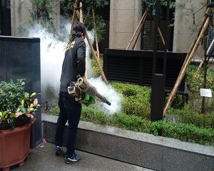 板橋消毒,板橋除蟲,新莊消毒,新莊除蟲,土城消毒,土城除蟲,五股消毒,五股除蟲,三重消毒,三重除蟲,中和消毒,中和除蟲,新店消毒,新店除蟲,中和消毒,中和除蟲,新店消毒,新店除蟲,永和除蟲,永和消毒,蘆洲除蟲,蘆洲消毒,三峽消毒,三峽除蟲,泰山消毒,泰山除蟲,樹林消毒,樹林除蟲,林口消毒,林口除蟲,迴龍消毒,迴龍除蟲,龜山消毒,龜山除蟲,台北市(全區)消毒除蟲,辦公室消毒(除蟲),社區消毒公告,社區環境消毒,社區消毒費用,社區消毒注意事項,社區消毒藥劑,社區消毒申請,社區消毒招標,社區大樓消毒,社區消毒公司,社區消毒,社區消毒公告,餐廳消毒(除蟲),餐廳消毒公司,餐廳消毒費用,餐廳消毒方法,餐廳消毒法規,餐廳消毒公告,餐廳消毒公司,環境消毒(除蟲),餐廳消毒(除蟲),環境消毒(除蟲),殺菌工程,辦公室消毒,辦公室消毒注意事項,辦公室消毒公告,辦公室消毒公司,辦公室消毒費用,辦公室消毒,辦公室消毒方式,辦公室消毒方法,辦公室消毒 diy,家裡消毒,家裡消毒方法,家裡消毒都用什麼消毒,消毒殺菌,家裡消毒要用什麼,居家消毒(除蟲),家裡除蟲,家裡除蚤,家裡除臭,家裡除蟑螂,跳蚤,跳蚤咬,跳蚤咬傷症狀,跳蚤防治,跳蚤怕什麼,跳蚤咬傷藥膏,跳蚤咬傷症狀,螞蟻怕什麼,螞蟻藥,白蟻防治,白蟻藥哪裡買,白蟻怕什麼,螞蟻怕什麼,白蟻消滅,白蟻藥,殺白蟻藥,殺白蟻的方法,殺白蟻公司,殺白蟻費用,蟑螂藥,蟑螂怕什麼,蟑螂圖片,蟑螂炸彈,蟑螂,蟑螂蛋,蟑螂小強,殺蟑螂最有效的方法,殺跳蚤的方法,殺跳蚤藥,殺跳蚤 diy,殺跳蚤殺蟲劑,殺跳蚤水煙,殺跳蚤卵,殺跳蚤公司,殺跳蚤劑,殺螞蟻的方法,殺螞蟻藥,殺螞蟻最有效的方法,殺螞蟻硼酸,殺螞蟻硼砂,殺螞蟻妙方,殺螞蟻窩,殺螞蟻硼酸,殺臭蟲方法,殺臭蟲藥,殺臭蟲劑,殺臭蟲公司,殺臭蟲水煙,殺臭蟲藥劑,殺蛀蟲藥,殺蛀蟲方法,殺蛀蟲劑,殺蛀蟲藥哪買,殺塵蹣,消毒公司推薦,除蟲公司推薦,除蟲專家,消毒清潔,飯店消毒除蟲,木板防蟲處理,防蟲處理,公司消毒除蟲,白蟻防治,KTV酒店消毒除蟲,廠房消毒除蟲,學校消毒除蟲,幼稚園消毒除蟲殺菌,空間殺菌,市場消毒除蟲,工廠消毒除蟲,汽車旅館消毒除蟲,住家消毒除蟲,大樓消毒除蟲,醫院消毒除蟲,機關消毒除蟲,公共場所消毒除蟲,鐵皮屋消毒除蟲,木料防治,腸病毒處理,除蟲公司價錢,消毒公司價錢,便宜消毒,跳蚤處理,白蟻處理,養老院消毒除蟲,營業場所消毒除蟲,蚊子,蒼蠅,蟑螂,德國蟑螂,老鼠,跳蚤,白蟻,蛀蟲,姬薪蟲,嚙蟲,臭蟲,台北消毒,台北除蟲,新北除蟲,新北消毒,板橋消毒,板橋除蟲,白蟻防治,餐廳消毒,消毒公司,除蟲公司,白蟻保固,環境消毒,辦公室消毒,台北除白蟻,除蟲專家,台北除跳蚤,消毒除蟲,蟲害防治,居家除蟲,除蟲服務,社區消毒,幼兒園消毒,托嬰中心消毒,跳蚤防治,跳蚤處理,殺跳蚤 板橋消毒,板橋除蟲,新莊消毒,新莊除蟲,土城消毒,土城除蟲,五股消毒,五股除蟲,三重消毒,三重除蟲,中和消毒,中和除蟲,新店消毒,新店除蟲,中和消毒,中和除蟲,新店消毒,新店除蟲,永和除蟲,永和消毒,蘆洲除蟲,蘆洲消毒,三峽消毒,三峽除蟲,泰山消毒,泰山除蟲,樹林消毒,樹林除蟲,林口消毒,林口除蟲,迴龍消毒,迴龍除蟲,龜山消毒,龜山除蟲,台北市(全區)消毒除蟲,辦公室消毒(除蟲),社區消毒公告,社區環境消毒,社區消毒費用,社區消毒注意事項,社區消毒藥劑,社區消毒申請,社區消毒招標,社區大樓消毒,社區消毒公司,社區消毒,社區消毒公告,餐廳消毒(除蟲),餐廳消毒公司,餐廳消毒費用,餐廳消毒方法,餐廳消毒法規,餐廳消毒公告,餐廳消毒公司,環境消毒(除蟲),餐廳消毒(除蟲),環境消毒(除蟲),殺菌工程,辦公室消毒,辦公室消毒注意事項,辦公室消毒公告,辦公室消毒公司,辦公室消毒費用,辦公室消毒,辦公室消毒方式,辦公室消毒方法,辦公室消毒 diy,家裡消毒,家裡消毒方法,家裡消毒都用什麼消毒,消毒殺菌,家裡消毒要用什麼,居家消毒(除蟲),家裡除蟲,家裡除蚤,家裡除臭,家裡除蟑螂,跳蚤,跳蚤咬,跳蚤咬傷症狀,跳蚤防治,跳蚤怕什麼,跳蚤咬傷藥膏,跳蚤咬傷症狀,螞蟻怕什麼,螞蟻藥,白蟻防治,白蟻藥哪裡買,白蟻怕什麼,螞蟻怕什麼,白蟻消滅,白蟻藥,殺白蟻藥,殺白蟻的方法,殺白蟻公司,殺白蟻費用,蟑螂藥,蟑螂怕什麼,蟑螂圖片,蟑螂炸彈,蟑螂,蟑螂蛋,蟑螂小強,殺蟑螂最有效的方法,殺跳蚤的方法,殺跳蚤藥,殺跳蚤 diy,殺跳蚤殺蟲劑,殺跳蚤水煙,殺跳蚤卵,殺跳蚤公司,殺跳蚤劑,殺螞蟻的方法,殺螞蟻藥,殺螞蟻最有效的方法,殺螞蟻硼酸,殺螞蟻硼砂,殺螞蟻妙方,殺螞蟻窩,殺螞蟻硼酸,殺臭蟲方法,殺臭蟲藥,殺臭蟲劑,殺臭蟲公司,殺臭蟲水煙,殺臭蟲藥劑,殺蛀蟲藥,殺蛀蟲方法,殺蛀蟲劑,殺蛀蟲藥哪買,殺塵蹣,消毒公司推薦,除蟲公司推薦,除蟲專家,消毒清潔,飯店消毒除蟲,木板防蟲處理,防蟲處理,公司消毒除蟲,白蟻防治,KTV酒店消毒除蟲,廠房消毒除蟲,學校消毒除蟲,幼稚園消毒除蟲殺菌,空間殺菌,市場消毒除蟲,工廠消毒除蟲,汽車旅館消毒除蟲,住家消毒除蟲,大樓消毒除蟲,醫院消毒除蟲,機關消毒除蟲,公共場所消毒除蟲,鐵皮屋消毒除蟲,木料防治,腸病毒處理,除蟲公司價錢,消毒公司價錢,便宜消毒,跳蚤處理,白蟻處理,養老院消毒除蟲,營業場所消毒除蟲,蚊子,蒼蠅,蟑螂,德國蟑螂,老鼠,跳蚤,白蟻,蛀蟲,姬薪蟲,嚙蟲,臭蟲,台北消毒,台北除蟲,新北除蟲,新北消毒,板橋消毒,板橋除蟲,白蟻防治,餐廳消毒,消毒公司,除蟲公司,白蟻保固,環境消毒,辦公室消毒,台北除白蟻,除蟲專家,台北除跳蚤,消毒除蟲,蟲害防治,居家除蟲,除蟲服務,社區消毒,幼兒園消毒,托嬰中心消毒,跳蚤防治,跳蚤處理,殺跳蚤