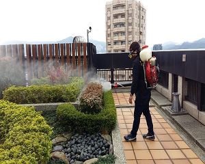 板橋消毒,板橋除蟲,新莊消毒,新莊除蟲,土城消毒,土城除蟲,五股消毒,五股除蟲,三重消毒,三重除蟲,中和消毒,中和除蟲,新店消毒,新店除蟲,中和消毒,中和除蟲,新店消毒,新店除蟲,永和除蟲,永和消毒,蘆洲除蟲,蘆洲消毒,三峽消毒,三峽除蟲,泰山消毒,泰山除蟲,樹林消毒,樹林除蟲,林口消毒,林口除蟲,迴龍消毒,迴龍除蟲,龜山消毒,龜山除蟲,台北市(全區)消毒除蟲,辦公室消毒(除蟲),社區消毒公告,社區環境消毒,社區消毒費用,社區消毒注意事項,社區消毒藥劑,社區消毒申請,社區消毒招標,社區大樓消毒,社區消毒公司,社區消毒,社區消毒公告,餐廳消毒(除蟲),餐廳消毒公司,餐廳消毒費用,餐廳消毒方法,餐廳消毒法規,餐廳消毒公告,餐廳消毒公司,環境消毒(除蟲),餐廳消毒(除蟲),環境消毒(除蟲),殺菌工程,辦公室消毒,辦公室消毒注意事項,辦公室消毒公告,辦公室消毒公司,辦公室消毒費用,辦公室消毒,辦公室消毒方式,辦公室消毒方法,辦公室消毒 diy,家裡消毒,家裡消毒方法,家裡消毒都用什麼消毒,消毒殺菌,家裡消毒要用什麼,居家消毒(除蟲),家裡除蟲,家裡除蚤,家裡除臭,家裡除蟑螂,跳蚤,跳蚤咬,跳蚤咬傷症狀,跳蚤防治,跳蚤怕什麼,跳蚤咬傷藥膏,跳蚤咬傷症狀,螞蟻怕什麼,螞蟻藥,白蟻防治,白蟻藥哪裡買,白蟻怕什麼,螞蟻怕什麼,白蟻消滅,白蟻藥,殺白蟻藥,殺白蟻的方法,殺白蟻公司,殺白蟻費用,蟑螂藥,蟑螂怕什麼,蟑螂圖片,蟑螂炸彈,蟑螂,蟑螂蛋,蟑螂小強,殺蟑螂最有效的方法,殺跳蚤的方法,殺跳蚤藥,殺跳蚤 diy,殺跳蚤殺蟲劑,殺跳蚤水煙,殺跳蚤卵,殺跳蚤公司,殺跳蚤劑,殺螞蟻的方法,殺螞蟻藥,殺螞蟻最有效的方法,殺螞蟻硼酸,殺螞蟻硼砂,殺螞蟻妙方,殺螞蟻窩,殺螞蟻硼酸,殺臭蟲方法,殺臭蟲藥,殺臭蟲劑,殺臭蟲公司,殺臭蟲水煙,殺臭蟲藥劑,殺蛀蟲藥,殺蛀蟲方法,殺蛀蟲劑,殺蛀蟲藥哪買,殺塵蹣,消毒公司推薦,除蟲公司推薦,除蟲專家,消毒清潔,飯店消毒除蟲,木板防蟲處理,防蟲處理,公司消毒除蟲,白蟻防治,KTV酒店消毒除蟲,廠房消毒除蟲,學校消毒除蟲,幼稚園消毒除蟲殺菌,空間殺菌,市場消毒除蟲,工廠消毒除蟲,汽車旅館消毒除蟲,住家消毒除蟲,大樓消毒除蟲,醫院消毒除蟲,機關消毒除蟲,公共場所消毒除蟲,鐵皮屋消毒除蟲,木料防治,腸病毒處理,除蟲公司價錢,消毒公司價錢,便宜消毒,跳蚤處理,白蟻處理,養老院消毒除蟲,營業場所消毒除蟲,蚊子,蒼蠅,蟑螂,德國蟑螂,老鼠,跳蚤,白蟻,蛀蟲,姬薪蟲,嚙蟲,臭蟲,台北消毒,台北除蟲,新北除蟲,新北消毒,板橋消毒,板橋除蟲,白蟻防治,餐廳消毒,消毒公司,除蟲公司,白蟻保固,環境消毒,辦公室消毒,台北除白蟻,除蟲專家,台北除跳蚤,消毒除蟲,蟲害防治,居家除蟲,除蟲服務,社區消毒,幼兒園消毒,托嬰中心消毒,跳蚤防治,跳蚤處理,殺跳蚤 板橋消毒,板橋除蟲,新莊消毒,新莊除蟲,土城消毒,土城除蟲,五股消毒,五股除蟲,三重消毒,三重除蟲,中和消毒,中和除蟲,新店消毒,新店除蟲,中和消毒,中和除蟲,新店消毒,新店除蟲,永和除蟲,永和消毒,蘆洲除蟲,蘆洲消毒,三峽消毒,三峽除蟲,泰山消毒,泰山除蟲,樹林消毒,樹林除蟲,林口消毒,林口除蟲,迴龍消毒,迴龍除蟲,龜山消毒,龜山除蟲,台北市(全區)消毒除蟲,辦公室消毒(除蟲),社區消毒公告,社區環境消毒,社區消毒費用,社區消毒注意事項,社區消毒藥劑,社區消毒申請,社區消毒招標,社區大樓消毒,社區消毒公司,社區消毒,社區消毒公告,餐廳消毒(除蟲),餐廳消毒公司,餐廳消毒費用,餐廳消毒方法,餐廳消毒法規,餐廳消毒公告,餐廳消毒公司,環境消毒(除蟲),餐廳消毒(除蟲),環境消毒(除蟲),殺菌工程,辦公室消毒,辦公室消毒注意事項,辦公室消毒公告,辦公室消毒公司,辦公室消毒費用,辦公室消毒,辦公室消毒方式,辦公室消毒方法,辦公室消毒 diy,家裡消毒,家裡消毒方法,家裡消毒都用什麼消毒,消毒殺菌,家裡消毒要用什麼,居家消毒(除蟲),家裡除蟲,家裡除蚤,家裡除臭,家裡除蟑螂,跳蚤,跳蚤咬,跳蚤咬傷症狀,跳蚤防治,跳蚤怕什麼,跳蚤咬傷藥膏,跳蚤咬傷症狀,螞蟻怕什麼,螞蟻藥,白蟻防治,白蟻藥哪裡買,白蟻怕什麼,螞蟻怕什麼,白蟻消滅,白蟻藥,殺白蟻藥,殺白蟻的方法,殺白蟻公司,殺白蟻費用,蟑螂藥,蟑螂怕什麼,蟑螂圖片,蟑螂炸彈,蟑螂,蟑螂蛋,蟑螂小強,殺蟑螂最有效的方法,殺跳蚤的方法,殺跳蚤藥,殺跳蚤 diy,殺跳蚤殺蟲劑,殺跳蚤水煙,殺跳蚤卵,殺跳蚤公司,殺跳蚤劑,殺螞蟻的方法,殺螞蟻藥,殺螞蟻最有效的方法,殺螞蟻硼酸,殺螞蟻硼砂,殺螞蟻妙方,殺螞蟻窩,殺螞蟻硼酸,殺臭蟲方法,殺臭蟲藥,殺臭蟲劑,殺臭蟲公司,殺臭蟲水煙,殺臭蟲藥劑,殺蛀蟲藥,殺蛀蟲方法,殺蛀蟲劑,殺蛀蟲藥哪買,殺塵蹣,消毒公司推薦,除蟲公司推薦,除蟲專家,消毒清潔,飯店消毒除蟲,木板防蟲處理,防蟲處理,公司消毒除蟲,白蟻防治,KTV酒店消毒除蟲,廠房消毒除蟲,學校消毒除蟲,幼稚園消毒除蟲殺菌,空間殺菌,市場消毒除蟲,工廠消毒除蟲,汽車旅館消毒除蟲,住家消毒除蟲,大樓消毒除蟲,醫院消毒除蟲,機關消毒除蟲,公共場所消毒除蟲,鐵皮屋消毒除蟲,木料防治,腸病毒處理,除蟲公司價錢,消毒公司價錢,便宜消毒,跳蚤處理,白蟻處理,養老院消毒除蟲,營業場所消毒除蟲,蚊子,蒼蠅,蟑螂,德國蟑螂,老鼠,跳蚤,白蟻,蛀蟲,姬薪蟲,嚙蟲,臭蟲,台北消毒,台北除蟲,新北除蟲,新北消毒,板橋消毒,板橋除蟲,白蟻防治,餐廳消毒,消毒公司,除蟲公司,白蟻保固,環境消毒,辦公室消毒,台北除白蟻,除蟲專家,台北除跳蚤,消毒除蟲,蟲害防治,居家除蟲,除蟲服務,社區消毒,幼兒園消毒,托嬰中心消毒,跳蚤防治,跳蚤處理,殺跳蚤