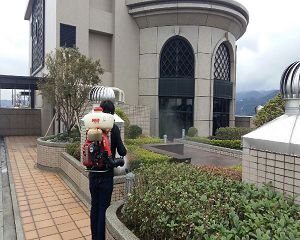 板橋消毒,板橋除蟲,新莊消毒,新莊除蟲,土城消毒,土城除蟲,五股消毒,五股除蟲,三重消毒,三重除蟲,中和消毒,中和除蟲,新店消毒,新店除蟲,中和消毒,中和除蟲,新店消毒,新店除蟲,永和除蟲,永和消毒,蘆洲除蟲,蘆洲消毒,三峽消毒,三峽除蟲,泰山消毒,泰山除蟲,樹林消毒,樹林除蟲,林口消毒,林口除蟲,迴龍消毒,迴龍除蟲,龜山消毒,龜山除蟲,台北市(全區)消毒除蟲,辦公室消毒(除蟲),社區消毒公告,社區環境消毒,社區消毒費用,社區消毒注意事項,社區消毒藥劑,社區消毒申請,社區消毒招標,社區大樓消毒,社區消毒公司,社區消毒,社區消毒公告,餐廳消毒(除蟲),餐廳消毒公司,餐廳消毒費用,餐廳消毒方法,餐廳消毒法規,餐廳消毒公告,餐廳消毒公司,環境消毒(除蟲),餐廳消毒(除蟲),環境消毒(除蟲),殺菌工程,辦公室消毒,辦公室消毒注意事項,辦公室消毒公告,辦公室消毒公司,辦公室消毒費用,辦公室消毒,辦公室消毒方式,辦公室消毒方法,辦公室消毒 diy,家裡消毒,家裡消毒方法,家裡消毒都用什麼消毒,消毒殺菌,家裡消毒要用什麼,居家消毒(除蟲),家裡除蟲,家裡除蚤,家裡除臭,家裡除蟑螂,跳蚤,跳蚤咬,跳蚤咬傷症狀,跳蚤防治,跳蚤怕什麼,跳蚤咬傷藥膏,跳蚤咬傷症狀,螞蟻怕什麼,螞蟻藥,白蟻防治,白蟻藥哪裡買,白蟻怕什麼,螞蟻怕什麼,白蟻消滅,白蟻藥,殺白蟻藥,殺白蟻的方法,殺白蟻公司,殺白蟻費用,蟑螂藥,蟑螂怕什麼,蟑螂圖片,蟑螂炸彈,蟑螂,蟑螂蛋,蟑螂小強,殺蟑螂最有效的方法,殺跳蚤的方法,殺跳蚤藥,殺跳蚤 diy,殺跳蚤殺蟲劑,殺跳蚤水煙,殺跳蚤卵,殺跳蚤公司,殺跳蚤劑,殺螞蟻的方法,殺螞蟻藥,殺螞蟻最有效的方法,殺螞蟻硼酸,殺螞蟻硼砂,殺螞蟻妙方,殺螞蟻窩,殺螞蟻硼酸,殺臭蟲方法,殺臭蟲藥,殺臭蟲劑,殺臭蟲公司,殺臭蟲水煙,殺臭蟲藥劑,殺蛀蟲藥,殺蛀蟲方法,殺蛀蟲劑,殺蛀蟲藥哪買,殺塵蹣,消毒公司推薦,除蟲公司推薦,除蟲專家,消毒清潔,飯店消毒除蟲,木板防蟲處理,防蟲處理,公司消毒除蟲,白蟻防治,KTV酒店消毒除蟲,廠房消毒除蟲,學校消毒除蟲,幼稚園消毒除蟲殺菌,空間殺菌,市場消毒除蟲,工廠消毒除蟲,汽車旅館消毒除蟲,住家消毒除蟲,大樓消毒除蟲,醫院消毒除蟲,機關消毒除蟲,公共場所消毒除蟲,鐵皮屋消毒除蟲,木料防治,腸病毒處理,除蟲公司價錢,消毒公司價錢,便宜消毒,跳蚤處理,白蟻處理,養老院消毒除蟲,營業場所消毒除蟲,蚊子,蒼蠅,蟑螂,德國蟑螂,老鼠,跳蚤,白蟻,蛀蟲,姬薪蟲,嚙蟲,臭蟲,台北消毒,台北除蟲,新北除蟲,新北消毒,板橋消毒,板橋除蟲,白蟻防治,餐廳消毒,消毒公司,除蟲公司,白蟻保固,環境消毒,辦公室消毒,台北除白蟻,除蟲專家,台北除跳蚤,消毒除蟲,蟲害防治,居家除蟲,除蟲服務,社區消毒,幼兒園消毒,托嬰中心消毒,跳蚤防治,跳蚤處理,殺跳蚤 板橋消毒,板橋除蟲,新莊消毒,新莊除蟲,土城消毒,土城除蟲,五股消毒,五股除蟲,三重消毒,三重除蟲,中和消毒,中和除蟲,新店消毒,新店除蟲,中和消毒,中和除蟲,新店消毒,新店除蟲,永和除蟲,永和消毒,蘆洲除蟲,蘆洲消毒,三峽消毒,三峽除蟲,泰山消毒,泰山除蟲,樹林消毒,樹林除蟲,林口消毒,林口除蟲,迴龍消毒,迴龍除蟲,龜山消毒,龜山除蟲,台北市(全區)消毒除蟲,辦公室消毒(除蟲),社區消毒公告,社區環境消毒,社區消毒費用,社區消毒注意事項,社區消毒藥劑,社區消毒申請,社區消毒招標,社區大樓消毒,社區消毒公司,社區消毒,社區消毒公告,餐廳消毒(除蟲),餐廳消毒公司,餐廳消毒費用,餐廳消毒方法,餐廳消毒法規,餐廳消毒公告,餐廳消毒公司,環境消毒(除蟲),餐廳消毒(除蟲),環境消毒(除蟲),殺菌工程,辦公室消毒,辦公室消毒注意事項,辦公室消毒公告,辦公室消毒公司,辦公室消毒費用,辦公室消毒,辦公室消毒方式,辦公室消毒方法,辦公室消毒 diy,家裡消毒,家裡消毒方法,家裡消毒都用什麼消毒,消毒殺菌,家裡消毒要用什麼,居家消毒(除蟲),家裡除蟲,家裡除蚤,家裡除臭,家裡除蟑螂,跳蚤,跳蚤咬,跳蚤咬傷症狀,跳蚤防治,跳蚤怕什麼,跳蚤咬傷藥膏,跳蚤咬傷症狀,螞蟻怕什麼,螞蟻藥,白蟻防治,白蟻藥哪裡買,白蟻怕什麼,螞蟻怕什麼,白蟻消滅,白蟻藥,殺白蟻藥,殺白蟻的方法,殺白蟻公司,殺白蟻費用,蟑螂藥,蟑螂怕什麼,蟑螂圖片,蟑螂炸彈,蟑螂,蟑螂蛋,蟑螂小強,殺蟑螂最有效的方法,殺跳蚤的方法,殺跳蚤藥,殺跳蚤 diy,殺跳蚤殺蟲劑,殺跳蚤水煙,殺跳蚤卵,殺跳蚤公司,殺跳蚤劑,殺螞蟻的方法,殺螞蟻藥,殺螞蟻最有效的方法,殺螞蟻硼酸,殺螞蟻硼砂,殺螞蟻妙方,殺螞蟻窩,殺螞蟻硼酸,殺臭蟲方法,殺臭蟲藥,殺臭蟲劑,殺臭蟲公司,殺臭蟲水煙,殺臭蟲藥劑,殺蛀蟲藥,殺蛀蟲方法,殺蛀蟲劑,殺蛀蟲藥哪買,殺塵蹣,消毒公司推薦,除蟲公司推薦,除蟲專家,消毒清潔,飯店消毒除蟲,木板防蟲處理,防蟲處理,公司消毒除蟲,白蟻防治,KTV酒店消毒除蟲,廠房消毒除蟲,學校消毒除蟲,幼稚園消毒除蟲殺菌,空間殺菌,市場消毒除蟲,工廠消毒除蟲,汽車旅館消毒除蟲,住家消毒除蟲,大樓消毒除蟲,醫院消毒除蟲,機關消毒除蟲,公共場所消毒除蟲,鐵皮屋消毒除蟲,木料防治,腸病毒處理,除蟲公司價錢,消毒公司價錢,便宜消毒,跳蚤處理,白蟻處理,養老院消毒除蟲,營業場所消毒除蟲,蚊子,蒼蠅,蟑螂,德國蟑螂,老鼠,跳蚤,白蟻,蛀蟲,姬薪蟲,嚙蟲,臭蟲,台北消毒,台北除蟲,新北除蟲,新北消毒,板橋消毒,板橋除蟲,白蟻防治,餐廳消毒,消毒公司,除蟲公司,白蟻保固,環境消毒,辦公室消毒,台北除白蟻,除蟲專家,台北除跳蚤,消毒除蟲,蟲害防治,居家除蟲,除蟲服務,社區消毒,幼兒園消毒,托嬰中心消毒,跳蚤防治,跳蚤處理,殺跳蚤