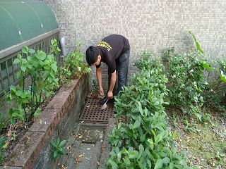 板橋消毒,板橋除蟲,新莊消毒,新莊除蟲,土城消毒,土城除蟲,五股消毒,五股除蟲,三重消毒,三重除蟲,中和消毒,中和除蟲,新店消毒,新店除蟲,中和消毒,中和除蟲,新店消毒,新店除蟲,永和除蟲,永和消毒,蘆洲除蟲,蘆洲消毒,三峽消毒,三峽除蟲,泰山消毒,泰山除蟲,樹林消毒,樹林除蟲,林口消毒,林口除蟲,迴龍消毒,迴龍除蟲,龜山消毒,龜山除蟲,台北市(全區)消毒除蟲,辦公室消毒(除蟲),社區消毒公告,社區環境消毒,社區消毒費用,社區消毒注意事項,社區消毒藥劑,社區消毒申請,社區消毒招標,社區大樓消毒,社區消毒公司,社區消毒,社區消毒公告,餐廳消毒(除蟲),餐廳消毒公司,餐廳消毒費用,餐廳消毒方法,餐廳消毒法規,餐廳消毒公告,餐廳消毒公司,環境消毒(除蟲),餐廳消毒(除蟲),環境消毒(除蟲),殺菌工程,辦公室消毒,辦公室消毒注意事項,辦公室消毒公告,辦公室消毒公司,辦公室消毒費用,辦公室消毒,辦公室消毒方式,辦公室消毒方法,辦公室消毒 diy,家裡消毒,家裡消毒方法,家裡消毒都用什麼消毒,消毒殺菌,家裡消毒要用什麼,居家消毒(除蟲),家裡除蟲,家裡除蚤,家裡除臭,家裡除蟑螂,跳蚤,跳蚤咬,跳蚤咬傷症狀,跳蚤防治,跳蚤怕什麼,跳蚤咬傷藥膏,跳蚤咬傷症狀,螞蟻怕什麼,螞蟻藥,白蟻防治,白蟻藥哪裡買,白蟻怕什麼,螞蟻怕什麼,白蟻消滅,白蟻藥,殺白蟻藥,殺白蟻的方法,殺白蟻公司,殺白蟻費用,蟑螂藥,蟑螂怕什麼,蟑螂圖片,蟑螂炸彈,蟑螂,蟑螂蛋,蟑螂小強,殺蟑螂最有效的方法,殺跳蚤的方法,殺跳蚤藥,殺跳蚤 diy,殺跳蚤殺蟲劑,殺跳蚤水煙,殺跳蚤卵,殺跳蚤公司,殺跳蚤劑,殺螞蟻的方法,殺螞蟻藥,殺螞蟻最有效的方法,殺螞蟻硼酸,殺螞蟻硼砂,殺螞蟻妙方,殺螞蟻窩,殺螞蟻硼酸,殺臭蟲方法,殺臭蟲藥,殺臭蟲劑,殺臭蟲公司,殺臭蟲水煙,殺臭蟲藥劑,殺蛀蟲藥,殺蛀蟲方法,殺蛀蟲劑,殺蛀蟲藥哪買,殺塵蹣,消毒公司推薦,除蟲公司推薦,除蟲專家,消毒清潔,飯店消毒除蟲,木板防蟲處理,防蟲處理,公司消毒除蟲,白蟻防治,KTV酒店消毒除蟲,廠房消毒除蟲,學校消毒除蟲,幼稚園消毒除蟲殺菌,空間殺菌,市場消毒除蟲,工廠消毒除蟲,汽車旅館消毒除蟲,住家消毒除蟲,大樓消毒除蟲,醫院消毒除蟲,機關消毒除蟲,公共場所消毒除蟲,鐵皮屋消毒除蟲,木料防治,腸病毒處理,除蟲公司價錢,消毒公司價錢,便宜消毒,跳蚤處理,白蟻處理,養老院消毒除蟲,營業場所消毒除蟲,蚊子,蒼蠅,蟑螂,德國蟑螂,老鼠,跳蚤,白蟻,蛀蟲,姬薪蟲,嚙蟲,臭蟲,台北消毒,台北除蟲,新北除蟲,新北消毒,板橋消毒,板橋除蟲,白蟻防治,餐廳消毒,消毒公司,除蟲公司,白蟻保固,環境消毒,辦公室消毒,台北除白蟻,除蟲專家,台北除跳蚤,消毒除蟲,蟲害防治,居家除蟲,除蟲服務,社區消毒,幼兒園消毒,托嬰中心消毒,跳蚤防治,跳蚤處理,殺跳蚤 板橋消毒,板橋除蟲,新莊消毒,新莊除蟲,土城消毒,土城除蟲,五股消毒,五股除蟲,三重消毒,三重除蟲,中和消毒,中和除蟲,新店消毒,新店除蟲,中和消毒,中和除蟲,新店消毒,新店除蟲,永和除蟲,永和消毒,蘆洲除蟲,蘆洲消毒,三峽消毒,三峽除蟲,泰山消毒,泰山除蟲,樹林消毒,樹林除蟲,林口消毒,林口除蟲,迴龍消毒,迴龍除蟲,龜山消毒,龜山除蟲,台北市(全區)消毒除蟲,辦公室消毒(除蟲),社區消毒公告,社區環境消毒,社區消毒費用,社區消毒注意事項,社區消毒藥劑,社區消毒申請,社區消毒招標,社區大樓消毒,社區消毒公司,社區消毒,社區消毒公告,餐廳消毒(除蟲),餐廳消毒公司,餐廳消毒費用,餐廳消毒方法,餐廳消毒法規,餐廳消毒公告,餐廳消毒公司,環境消毒(除蟲),餐廳消毒(除蟲),環境消毒(除蟲),殺菌工程,辦公室消毒,辦公室消毒注意事項,辦公室消毒公告,辦公室消毒公司,辦公室消毒費用,辦公室消毒,辦公室消毒方式,辦公室消毒方法,辦公室消毒 diy,家裡消毒,家裡消毒方法,家裡消毒都用什麼消毒,消毒殺菌,家裡消毒要用什麼,居家消毒(除蟲),家裡除蟲,家裡除蚤,家裡除臭,家裡除蟑螂,跳蚤,跳蚤咬,跳蚤咬傷症狀,跳蚤防治,跳蚤怕什麼,跳蚤咬傷藥膏,跳蚤咬傷症狀,螞蟻怕什麼,螞蟻藥,白蟻防治,白蟻藥哪裡買,白蟻怕什麼,螞蟻怕什麼,白蟻消滅,白蟻藥,殺白蟻藥,殺白蟻的方法,殺白蟻公司,殺白蟻費用,蟑螂藥,蟑螂怕什麼,蟑螂圖片,蟑螂炸彈,蟑螂,蟑螂蛋,蟑螂小強,殺蟑螂最有效的方法,殺跳蚤的方法,殺跳蚤藥,殺跳蚤 diy,殺跳蚤殺蟲劑,殺跳蚤水煙,殺跳蚤卵,殺跳蚤公司,殺跳蚤劑,殺螞蟻的方法,殺螞蟻藥,殺螞蟻最有效的方法,殺螞蟻硼酸,殺螞蟻硼砂,殺螞蟻妙方,殺螞蟻窩,殺螞蟻硼酸,殺臭蟲方法,殺臭蟲藥,殺臭蟲劑,殺臭蟲公司,殺臭蟲水煙,殺臭蟲藥劑,殺蛀蟲藥,殺蛀蟲方法,殺蛀蟲劑,殺蛀蟲藥哪買,殺塵蹣,消毒公司推薦,除蟲公司推薦,除蟲專家,消毒清潔,飯店消毒除蟲,木板防蟲處理,防蟲處理,公司消毒除蟲,白蟻防治,KTV酒店消毒除蟲,廠房消毒除蟲,學校消毒除蟲,幼稚園消毒除蟲殺菌,空間殺菌,市場消毒除蟲,工廠消毒除蟲,汽車旅館消毒除蟲,住家消毒除蟲,大樓消毒除蟲,醫院消毒除蟲,機關消毒除蟲,公共場所消毒除蟲,鐵皮屋消毒除蟲,木料防治,腸病毒處理,除蟲公司價錢,消毒公司價錢,便宜消毒,跳蚤處理,白蟻處理,養老院消毒除蟲,營業場所消毒除蟲,蚊子,蒼蠅,蟑螂,德國蟑螂,老鼠,跳蚤,白蟻,蛀蟲,姬薪蟲,嚙蟲,臭蟲,台北消毒,台北除蟲,新北除蟲,新北消毒,板橋消毒,板橋除蟲,白蟻防治,餐廳消毒,消毒公司,除蟲公司,白蟻保固,環境消毒,辦公室消毒,台北除白蟻,除蟲專家,台北除跳蚤,消毒除蟲,蟲害防治,居家除蟲,除蟲服務,社區消毒,幼兒園消毒,托嬰中心消毒,跳蚤防治,跳蚤處理,殺跳蚤