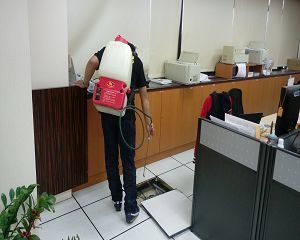 板橋消毒,板橋除蟲,新莊消毒,新莊除蟲,土城消毒,土城除蟲,五股消毒,五股除蟲,三重消毒,三重除蟲,中和消毒,中和除蟲,新店消毒,新店除蟲,中和消毒,中和除蟲,新店消毒,新店除蟲,永和除蟲,永和消毒,蘆洲除蟲,蘆洲消毒,三峽消毒,三峽除蟲,泰山消毒,泰山除蟲,樹林消毒,樹林除蟲,林口消毒,林口除蟲,迴龍消毒,迴龍除蟲,龜山消毒,龜山除蟲,台北市(全區)消毒除蟲,辦公室消毒(除蟲),社區消毒公告,社區環境消毒,社區消毒費用,社區消毒注意事項,社區消毒藥劑,社區消毒申請,社區消毒招標,社區大樓消毒,社區消毒公司,社區消毒,社區消毒公告,餐廳消毒(除蟲),餐廳消毒公司,餐廳消毒費用,餐廳消毒方法,餐廳消毒法規,餐廳消毒公告,餐廳消毒公司,環境消毒(除蟲),餐廳消毒(除蟲),環境消毒(除蟲),殺菌工程,辦公室消毒,辦公室消毒注意事項,辦公室消毒公告,辦公室消毒公司,辦公室消毒費用,辦公室消毒,辦公室消毒方式,辦公室消毒方法,辦公室消毒 diy,家裡消毒,家裡消毒方法,家裡消毒都用什麼消毒,消毒殺菌,家裡消毒要用什麼,居家消毒(除蟲),家裡除蟲,家裡除蚤,家裡除臭,家裡除蟑螂,跳蚤,跳蚤咬,跳蚤咬傷症狀,跳蚤防治,跳蚤怕什麼,跳蚤咬傷藥膏,跳蚤咬傷症狀,螞蟻怕什麼,螞蟻藥,白蟻防治,白蟻藥哪裡買,白蟻怕什麼,螞蟻怕什麼,白蟻消滅,白蟻藥,殺白蟻藥,殺白蟻的方法,殺白蟻公司,殺白蟻費用,蟑螂藥,蟑螂怕什麼,蟑螂圖片,蟑螂炸彈,蟑螂,蟑螂蛋,蟑螂小強,殺蟑螂最有效的方法,殺跳蚤的方法,殺跳蚤藥,殺跳蚤 diy,殺跳蚤殺蟲劑,殺跳蚤水煙,殺跳蚤卵,殺跳蚤公司,殺跳蚤劑,殺螞蟻的方法,殺螞蟻藥,殺螞蟻最有效的方法,殺螞蟻硼酸,殺螞蟻硼砂,殺螞蟻妙方,殺螞蟻窩,殺螞蟻硼酸,殺臭蟲方法,殺臭蟲藥,殺臭蟲劑,殺臭蟲公司,殺臭蟲水煙,殺臭蟲藥劑,殺蛀蟲藥,殺蛀蟲方法,殺蛀蟲劑,殺蛀蟲藥哪買,殺塵蹣,消毒公司推薦,除蟲公司推薦,除蟲專家,消毒清潔,飯店消毒除蟲,木板防蟲處理,防蟲處理,公司消毒除蟲,白蟻防治,KTV酒店消毒除蟲,廠房消毒除蟲,學校消毒除蟲,幼稚園消毒除蟲殺菌,空間殺菌,市場消毒除蟲,工廠消毒除蟲,汽車旅館消毒除蟲,住家消毒除蟲,大樓消毒除蟲,醫院消毒除蟲,機關消毒除蟲,公共場所消毒除蟲,鐵皮屋消毒除蟲,木料防治,腸病毒處理,除蟲公司價錢,消毒公司價錢,便宜消毒,跳蚤處理,白蟻處理,養老院消毒除蟲,營業場所消毒除蟲,蚊子,蒼蠅,蟑螂,德國蟑螂,老鼠,跳蚤,白蟻,蛀蟲,姬薪蟲,嚙蟲,臭蟲,台北消毒,台北除蟲,新北除蟲,新北消毒,板橋消毒,板橋除蟲,白蟻防治,餐廳消毒,消毒公司,除蟲公司,白蟻保固,環境消毒,辦公室消毒,台北除白蟻,除蟲專家,台北除跳蚤,消毒除蟲,蟲害防治,居家除蟲,除蟲服務,社區消毒,幼兒園消毒,托嬰中心消毒,跳蚤防治,跳蚤處理,殺跳蚤 板橋消毒,板橋除蟲,新莊消毒,新莊除蟲,土城消毒,土城除蟲,五股消毒,五股除蟲,三重消毒,三重除蟲,中和消毒,中和除蟲,新店消毒,新店除蟲,中和消毒,中和除蟲,新店消毒,新店除蟲,永和除蟲,永和消毒,蘆洲除蟲,蘆洲消毒,三峽消毒,三峽除蟲,泰山消毒,泰山除蟲,樹林消毒,樹林除蟲,林口消毒,林口除蟲,迴龍消毒,迴龍除蟲,龜山消毒,龜山除蟲,台北市(全區)消毒除蟲,辦公室消毒(除蟲),社區消毒公告,社區環境消毒,社區消毒費用,社區消毒注意事項,社區消毒藥劑,社區消毒申請,社區消毒招標,社區大樓消毒,社區消毒公司,社區消毒,社區消毒公告,餐廳消毒(除蟲),餐廳消毒公司,餐廳消毒費用,餐廳消毒方法,餐廳消毒法規,餐廳消毒公告,餐廳消毒公司,環境消毒(除蟲),餐廳消毒(除蟲),環境消毒(除蟲),殺菌工程,辦公室消毒,辦公室消毒注意事項,辦公室消毒公告,辦公室消毒公司,辦公室消毒費用,辦公室消毒,辦公室消毒方式,辦公室消毒方法,辦公室消毒 diy,家裡消毒,家裡消毒方法,家裡消毒都用什麼消毒,消毒殺菌,家裡消毒要用什麼,居家消毒(除蟲),家裡除蟲,家裡除蚤,家裡除臭,家裡除蟑螂,跳蚤,跳蚤咬,跳蚤咬傷症狀,跳蚤防治,跳蚤怕什麼,跳蚤咬傷藥膏,跳蚤咬傷症狀,螞蟻怕什麼,螞蟻藥,白蟻防治,白蟻藥哪裡買,白蟻怕什麼,螞蟻怕什麼,白蟻消滅,白蟻藥,殺白蟻藥,殺白蟻的方法,殺白蟻公司,殺白蟻費用,蟑螂藥,蟑螂怕什麼,蟑螂圖片,蟑螂炸彈,蟑螂,蟑螂蛋,蟑螂小強,殺蟑螂最有效的方法,殺跳蚤的方法,殺跳蚤藥,殺跳蚤 diy,殺跳蚤殺蟲劑,殺跳蚤水煙,殺跳蚤卵,殺跳蚤公司,殺跳蚤劑,殺螞蟻的方法,殺螞蟻藥,殺螞蟻最有效的方法,殺螞蟻硼酸,殺螞蟻硼砂,殺螞蟻妙方,殺螞蟻窩,殺螞蟻硼酸,殺臭蟲方法,殺臭蟲藥,殺臭蟲劑,殺臭蟲公司,殺臭蟲水煙,殺臭蟲藥劑,殺蛀蟲藥,殺蛀蟲方法,殺蛀蟲劑,殺蛀蟲藥哪買,殺塵蹣,消毒公司推薦,除蟲公司推薦,除蟲專家,消毒清潔,飯店消毒除蟲,木板防蟲處理,防蟲處理,公司消毒除蟲,白蟻防治,KTV酒店消毒除蟲,廠房消毒除蟲,學校消毒除蟲,幼稚園消毒除蟲殺菌,空間殺菌,市場消毒除蟲,工廠消毒除蟲,汽車旅館消毒除蟲,住家消毒除蟲,大樓消毒除蟲,醫院消毒除蟲,機關消毒除蟲,公共場所消毒除蟲,鐵皮屋消毒除蟲,木料防治,腸病毒處理,除蟲公司價錢,消毒公司價錢,便宜消毒,跳蚤處理,白蟻處理,養老院消毒除蟲,營業場所消毒除蟲,蚊子,蒼蠅,蟑螂,德國蟑螂,老鼠,跳蚤,白蟻,蛀蟲,姬薪蟲,嚙蟲,臭蟲,台北消毒,台北除蟲,新北除蟲,新北消毒,板橋消毒,板橋除蟲,白蟻防治,餐廳消毒,消毒公司,除蟲公司,白蟻保固,環境消毒,辦公室消毒,台北除白蟻,除蟲專家,台北除跳蚤,消毒除蟲,蟲害防治,居家除蟲,除蟲服務,社區消毒,幼兒園消毒,托嬰中心消毒,跳蚤防治,跳蚤處理,殺跳蚤