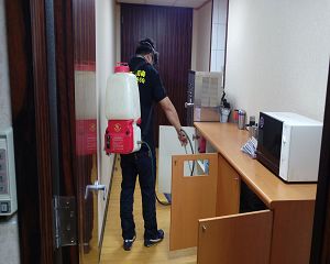 板橋消毒,板橋除蟲,新莊消毒,新莊除蟲,土城消毒,土城除蟲,五股消毒,五股除蟲,三重消毒,三重除蟲,中和消毒,中和除蟲,新店消毒,新店除蟲,中和消毒,中和除蟲,新店消毒,新店除蟲,永和除蟲,永和消毒,蘆洲除蟲,蘆洲消毒,三峽消毒,三峽除蟲,泰山消毒,泰山除蟲,樹林消毒,樹林除蟲,林口消毒,林口除蟲,迴龍消毒,迴龍除蟲,龜山消毒,龜山除蟲,台北市(全區)消毒除蟲,辦公室消毒(除蟲),社區消毒公告,社區環境消毒,社區消毒費用,社區消毒注意事項,社區消毒藥劑,社區消毒申請,社區消毒招標,社區大樓消毒,社區消毒公司,社區消毒,社區消毒公告,餐廳消毒(除蟲),餐廳消毒公司,餐廳消毒費用,餐廳消毒方法,餐廳消毒法規,餐廳消毒公告,餐廳消毒公司,環境消毒(除蟲),餐廳消毒(除蟲),環境消毒(除蟲),殺菌工程,辦公室消毒,辦公室消毒注意事項,辦公室消毒公告,辦公室消毒公司,辦公室消毒費用,辦公室消毒,辦公室消毒方式,辦公室消毒方法,辦公室消毒 diy,家裡消毒,家裡消毒方法,家裡消毒都用什麼消毒,消毒殺菌,家裡消毒要用什麼,居家消毒(除蟲),家裡除蟲,家裡除蚤,家裡除臭,家裡除蟑螂,跳蚤,跳蚤咬,跳蚤咬傷症狀,跳蚤防治,跳蚤怕什麼,跳蚤咬傷藥膏,跳蚤咬傷症狀,螞蟻怕什麼,螞蟻藥,白蟻防治,白蟻藥哪裡買,白蟻怕什麼,螞蟻怕什麼,白蟻消滅,白蟻藥,殺白蟻藥,殺白蟻的方法,殺白蟻公司,殺白蟻費用,蟑螂藥,蟑螂怕什麼,蟑螂圖片,蟑螂炸彈,蟑螂,蟑螂蛋,蟑螂小強,殺蟑螂最有效的方法,殺跳蚤的方法,殺跳蚤藥,殺跳蚤 diy,殺跳蚤殺蟲劑,殺跳蚤水煙,殺跳蚤卵,殺跳蚤公司,殺跳蚤劑,殺螞蟻的方法,殺螞蟻藥,殺螞蟻最有效的方法,殺螞蟻硼酸,殺螞蟻硼砂,殺螞蟻妙方,殺螞蟻窩,殺螞蟻硼酸,殺臭蟲方法,殺臭蟲藥,殺臭蟲劑,殺臭蟲公司,殺臭蟲水煙,殺臭蟲藥劑,殺蛀蟲藥,殺蛀蟲方法,殺蛀蟲劑,殺蛀蟲藥哪買,殺塵蹣,消毒公司推薦,除蟲公司推薦,除蟲專家,消毒清潔,飯店消毒除蟲,木板防蟲處理,防蟲處理,公司消毒除蟲,白蟻防治,KTV酒店消毒除蟲,廠房消毒除蟲,學校消毒除蟲,幼稚園消毒除蟲殺菌,空間殺菌,市場消毒除蟲,工廠消毒除蟲,汽車旅館消毒除蟲,住家消毒除蟲,大樓消毒除蟲,醫院消毒除蟲,機關消毒除蟲,公共場所消毒除蟲,鐵皮屋消毒除蟲,木料防治,腸病毒處理,除蟲公司價錢,消毒公司價錢,便宜消毒,跳蚤處理,白蟻處理,養老院消毒除蟲,營業場所消毒除蟲,蚊子,蒼蠅,蟑螂,德國蟑螂,老鼠,跳蚤,白蟻,蛀蟲,姬薪蟲,嚙蟲,臭蟲,台北消毒,台北除蟲,新北除蟲,新北消毒,板橋消毒,板橋除蟲,白蟻防治,餐廳消毒,消毒公司,除蟲公司,白蟻保固,環境消毒,辦公室消毒,台北除白蟻,除蟲專家,台北除跳蚤,消毒除蟲,蟲害防治,居家除蟲,除蟲服務,社區消毒,幼兒園消毒,托嬰中心消毒,跳蚤防治,跳蚤處理,殺跳蚤 板橋消毒,板橋除蟲,新莊消毒,新莊除蟲,土城消毒,土城除蟲,五股消毒,五股除蟲,三重消毒,三重除蟲,中和消毒,中和除蟲,新店消毒,新店除蟲,中和消毒,中和除蟲,新店消毒,新店除蟲,永和除蟲,永和消毒,蘆洲除蟲,蘆洲消毒,三峽消毒,三峽除蟲,泰山消毒,泰山除蟲,樹林消毒,樹林除蟲,林口消毒,林口除蟲,迴龍消毒,迴龍除蟲,龜山消毒,龜山除蟲,台北市(全區)消毒除蟲,辦公室消毒(除蟲),社區消毒公告,社區環境消毒,社區消毒費用,社區消毒注意事項,社區消毒藥劑,社區消毒申請,社區消毒招標,社區大樓消毒,社區消毒公司,社區消毒,社區消毒公告,餐廳消毒(除蟲),餐廳消毒公司,餐廳消毒費用,餐廳消毒方法,餐廳消毒法規,餐廳消毒公告,餐廳消毒公司,環境消毒(除蟲),餐廳消毒(除蟲),環境消毒(除蟲),殺菌工程,辦公室消毒,辦公室消毒注意事項,辦公室消毒公告,辦公室消毒公司,辦公室消毒費用,辦公室消毒,辦公室消毒方式,辦公室消毒方法,辦公室消毒 diy,家裡消毒,家裡消毒方法,家裡消毒都用什麼消毒,消毒殺菌,家裡消毒要用什麼,居家消毒(除蟲),家裡除蟲,家裡除蚤,家裡除臭,家裡除蟑螂,跳蚤,跳蚤咬,跳蚤咬傷症狀,跳蚤防治,跳蚤怕什麼,跳蚤咬傷藥膏,跳蚤咬傷症狀,螞蟻怕什麼,螞蟻藥,白蟻防治,白蟻藥哪裡買,白蟻怕什麼,螞蟻怕什麼,白蟻消滅,白蟻藥,殺白蟻藥,殺白蟻的方法,殺白蟻公司,殺白蟻費用,蟑螂藥,蟑螂怕什麼,蟑螂圖片,蟑螂炸彈,蟑螂,蟑螂蛋,蟑螂小強,殺蟑螂最有效的方法,殺跳蚤的方法,殺跳蚤藥,殺跳蚤 diy,殺跳蚤殺蟲劑,殺跳蚤水煙,殺跳蚤卵,殺跳蚤公司,殺跳蚤劑,殺螞蟻的方法,殺螞蟻藥,殺螞蟻最有效的方法,殺螞蟻硼酸,殺螞蟻硼砂,殺螞蟻妙方,殺螞蟻窩,殺螞蟻硼酸,殺臭蟲方法,殺臭蟲藥,殺臭蟲劑,殺臭蟲公司,殺臭蟲水煙,殺臭蟲藥劑,殺蛀蟲藥,殺蛀蟲方法,殺蛀蟲劑,殺蛀蟲藥哪買,殺塵蹣,消毒公司推薦,除蟲公司推薦,除蟲專家,消毒清潔,飯店消毒除蟲,木板防蟲處理,防蟲處理,公司消毒除蟲,白蟻防治,KTV酒店消毒除蟲,廠房消毒除蟲,學校消毒除蟲,幼稚園消毒除蟲殺菌,空間殺菌,市場消毒除蟲,工廠消毒除蟲,汽車旅館消毒除蟲,住家消毒除蟲,大樓消毒除蟲,醫院消毒除蟲,機關消毒除蟲,公共場所消毒除蟲,鐵皮屋消毒除蟲,木料防治,腸病毒處理,除蟲公司價錢,消毒公司價錢,便宜消毒,跳蚤處理,白蟻處理,養老院消毒除蟲,營業場所消毒除蟲,蚊子,蒼蠅,蟑螂,德國蟑螂,老鼠,跳蚤,白蟻,蛀蟲,姬薪蟲,嚙蟲,臭蟲,台北消毒,台北除蟲,新北除蟲,新北消毒,板橋消毒,板橋除蟲,白蟻防治,餐廳消毒,消毒公司,除蟲公司,白蟻保固,環境消毒,辦公室消毒,台北除白蟻,除蟲專家,台北除跳蚤,消毒除蟲,蟲害防治,居家除蟲,除蟲服務,社區消毒,幼兒園消毒,托嬰中心消毒,跳蚤防治,跳蚤處理,殺跳蚤