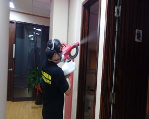 板橋消毒,板橋除蟲,新莊消毒,新莊除蟲,土城消毒,土城除蟲,五股消毒,五股除蟲,三重消毒,三重除蟲,中和消毒,中和除蟲,新店消毒,新店除蟲,中和消毒,中和除蟲,新店消毒,新店除蟲,永和除蟲,永和消毒,蘆洲除蟲,蘆洲消毒,三峽消毒,三峽除蟲,泰山消毒,泰山除蟲,樹林消毒,樹林除蟲,林口消毒,林口除蟲,迴龍消毒,迴龍除蟲,龜山消毒,龜山除蟲,台北市(全區)消毒除蟲,辦公室消毒(除蟲),社區消毒公告,社區環境消毒,社區消毒費用,社區消毒注意事項,社區消毒藥劑,社區消毒申請,社區消毒招標,社區大樓消毒,社區消毒公司,社區消毒,社區消毒公告,餐廳消毒(除蟲),餐廳消毒公司,餐廳消毒費用,餐廳消毒方法,餐廳消毒法規,餐廳消毒公告,餐廳消毒公司,環境消毒(除蟲),餐廳消毒(除蟲),環境消毒(除蟲),殺菌工程,辦公室消毒,辦公室消毒注意事項,辦公室消毒公告,辦公室消毒公司,辦公室消毒費用,辦公室消毒,辦公室消毒方式,辦公室消毒方法,辦公室消毒 diy,家裡消毒,家裡消毒方法,家裡消毒都用什麼消毒,消毒殺菌,家裡消毒要用什麼,居家消毒(除蟲),家裡除蟲,家裡除蚤,家裡除臭,家裡除蟑螂,跳蚤,跳蚤咬,跳蚤咬傷症狀,跳蚤防治,跳蚤怕什麼,跳蚤咬傷藥膏,跳蚤咬傷症狀,螞蟻怕什麼,螞蟻藥,白蟻防治,白蟻藥哪裡買,白蟻怕什麼,螞蟻怕什麼,白蟻消滅,白蟻藥,殺白蟻藥,殺白蟻的方法,殺白蟻公司,殺白蟻費用,蟑螂藥,蟑螂怕什麼,蟑螂圖片,蟑螂炸彈,蟑螂,蟑螂蛋,蟑螂小強,殺蟑螂最有效的方法,殺跳蚤的方法,殺跳蚤藥,殺跳蚤 diy,殺跳蚤殺蟲劑,殺跳蚤水煙,殺跳蚤卵,殺跳蚤公司,殺跳蚤劑,殺螞蟻的方法,殺螞蟻藥,殺螞蟻最有效的方法,殺螞蟻硼酸,殺螞蟻硼砂,殺螞蟻妙方,殺螞蟻窩,殺螞蟻硼酸,殺臭蟲方法,殺臭蟲藥,殺臭蟲劑,殺臭蟲公司,殺臭蟲水煙,殺臭蟲藥劑,殺蛀蟲藥,殺蛀蟲方法,殺蛀蟲劑,殺蛀蟲藥哪買,殺塵蹣,消毒公司推薦,除蟲公司推薦,除蟲專家,消毒清潔,飯店消毒除蟲,木板防蟲處理,防蟲處理,公司消毒除蟲,白蟻防治,KTV酒店消毒除蟲,廠房消毒除蟲,學校消毒除蟲,幼稚園消毒除蟲殺菌,空間殺菌,市場消毒除蟲,工廠消毒除蟲,汽車旅館消毒除蟲,住家消毒除蟲,大樓消毒除蟲,醫院消毒除蟲,機關消毒除蟲,公共場所消毒除蟲,鐵皮屋消毒除蟲,木料防治,腸病毒處理,除蟲公司價錢,消毒公司價錢,便宜消毒,跳蚤處理,白蟻處理,養老院消毒除蟲,營業場所消毒除蟲,蚊子,蒼蠅,蟑螂,德國蟑螂,老鼠,跳蚤,白蟻,蛀蟲,姬薪蟲,嚙蟲,臭蟲,台北消毒,台北除蟲,新北除蟲,新北消毒,板橋消毒,板橋除蟲,白蟻防治,餐廳消毒,消毒公司,除蟲公司,白蟻保固,環境消毒,辦公室消毒,台北除白蟻,除蟲專家,台北除跳蚤,消毒除蟲,蟲害防治,居家除蟲,除蟲服務,社區消毒,幼兒園消毒,托嬰中心消毒,跳蚤防治,跳蚤處理,殺跳蚤 板橋消毒,板橋除蟲,新莊消毒,新莊除蟲,土城消毒,土城除蟲,五股消毒,五股除蟲,三重消毒,三重除蟲,中和消毒,中和除蟲,新店消毒,新店除蟲,中和消毒,中和除蟲,新店消毒,新店除蟲,永和除蟲,永和消毒,蘆洲除蟲,蘆洲消毒,三峽消毒,三峽除蟲,泰山消毒,泰山除蟲,樹林消毒,樹林除蟲,林口消毒,林口除蟲,迴龍消毒,迴龍除蟲,龜山消毒,龜山除蟲,台北市(全區)消毒除蟲,辦公室消毒(除蟲),社區消毒公告,社區環境消毒,社區消毒費用,社區消毒注意事項,社區消毒藥劑,社區消毒申請,社區消毒招標,社區大樓消毒,社區消毒公司,社區消毒,社區消毒公告,餐廳消毒(除蟲),餐廳消毒公司,餐廳消毒費用,餐廳消毒方法,餐廳消毒法規,餐廳消毒公告,餐廳消毒公司,環境消毒(除蟲),餐廳消毒(除蟲),環境消毒(除蟲),殺菌工程,辦公室消毒,辦公室消毒注意事項,辦公室消毒公告,辦公室消毒公司,辦公室消毒費用,辦公室消毒,辦公室消毒方式,辦公室消毒方法,辦公室消毒 diy,家裡消毒,家裡消毒方法,家裡消毒都用什麼消毒,消毒殺菌,家裡消毒要用什麼,居家消毒(除蟲),家裡除蟲,家裡除蚤,家裡除臭,家裡除蟑螂,跳蚤,跳蚤咬,跳蚤咬傷症狀,跳蚤防治,跳蚤怕什麼,跳蚤咬傷藥膏,跳蚤咬傷症狀,螞蟻怕什麼,螞蟻藥,白蟻防治,白蟻藥哪裡買,白蟻怕什麼,螞蟻怕什麼,白蟻消滅,白蟻藥,殺白蟻藥,殺白蟻的方法,殺白蟻公司,殺白蟻費用,蟑螂藥,蟑螂怕什麼,蟑螂圖片,蟑螂炸彈,蟑螂,蟑螂蛋,蟑螂小強,殺蟑螂最有效的方法,殺跳蚤的方法,殺跳蚤藥,殺跳蚤 diy,殺跳蚤殺蟲劑,殺跳蚤水煙,殺跳蚤卵,殺跳蚤公司,殺跳蚤劑,殺螞蟻的方法,殺螞蟻藥,殺螞蟻最有效的方法,殺螞蟻硼酸,殺螞蟻硼砂,殺螞蟻妙方,殺螞蟻窩,殺螞蟻硼酸,殺臭蟲方法,殺臭蟲藥,殺臭蟲劑,殺臭蟲公司,殺臭蟲水煙,殺臭蟲藥劑,殺蛀蟲藥,殺蛀蟲方法,殺蛀蟲劑,殺蛀蟲藥哪買,殺塵蹣,消毒公司推薦,除蟲公司推薦,除蟲專家,消毒清潔,飯店消毒除蟲,木板防蟲處理,防蟲處理,公司消毒除蟲,白蟻防治,KTV酒店消毒除蟲,廠房消毒除蟲,學校消毒除蟲,幼稚園消毒除蟲殺菌,空間殺菌,市場消毒除蟲,工廠消毒除蟲,汽車旅館消毒除蟲,住家消毒除蟲,大樓消毒除蟲,醫院消毒除蟲,機關消毒除蟲,公共場所消毒除蟲,鐵皮屋消毒除蟲,木料防治,腸病毒處理,除蟲公司價錢,消毒公司價錢,便宜消毒,跳蚤處理,白蟻處理,養老院消毒除蟲,營業場所消毒除蟲,蚊子,蒼蠅,蟑螂,德國蟑螂,老鼠,跳蚤,白蟻,蛀蟲,姬薪蟲,嚙蟲,臭蟲,台北消毒,台北除蟲,新北除蟲,新北消毒,板橋消毒,板橋除蟲,白蟻防治,餐廳消毒,消毒公司,除蟲公司,白蟻保固,環境消毒,辦公室消毒,台北除白蟻,除蟲專家,台北除跳蚤,消毒除蟲,蟲害防治,居家除蟲,除蟲服務,社區消毒,幼兒園消毒,托嬰中心消毒,跳蚤防治,跳蚤處理,殺跳蚤