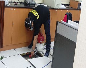 板橋消毒,板橋除蟲,新莊消毒,新莊除蟲,土城消毒,土城除蟲,五股消毒,五股除蟲,三重消毒,三重除蟲,中和消毒,中和除蟲,新店消毒,新店除蟲,中和消毒,中和除蟲,新店消毒,新店除蟲,永和除蟲,永和消毒,蘆洲除蟲,蘆洲消毒,三峽消毒,三峽除蟲,泰山消毒,泰山除蟲,樹林消毒,樹林除蟲,林口消毒,林口除蟲,迴龍消毒,迴龍除蟲,龜山消毒,龜山除蟲,台北市(全區)消毒除蟲,辦公室消毒(除蟲),社區消毒公告,社區環境消毒,社區消毒費用,社區消毒注意事項,社區消毒藥劑,社區消毒申請,社區消毒招標,社區大樓消毒,社區消毒公司,社區消毒,社區消毒公告,餐廳消毒(除蟲),餐廳消毒公司,餐廳消毒費用,餐廳消毒方法,餐廳消毒法規,餐廳消毒公告,餐廳消毒公司,環境消毒(除蟲),餐廳消毒(除蟲),環境消毒(除蟲),殺菌工程,辦公室消毒,辦公室消毒注意事項,辦公室消毒公告,辦公室消毒公司,辦公室消毒費用,辦公室消毒,辦公室消毒方式,辦公室消毒方法,辦公室消毒 diy,家裡消毒,家裡消毒方法,家裡消毒都用什麼消毒,消毒殺菌,家裡消毒要用什麼,居家消毒(除蟲),家裡除蟲,家裡除蚤,家裡除臭,家裡除蟑螂,跳蚤,跳蚤咬,跳蚤咬傷症狀,跳蚤防治,跳蚤怕什麼,跳蚤咬傷藥膏,跳蚤咬傷症狀,螞蟻怕什麼,螞蟻藥,白蟻防治,白蟻藥哪裡買,白蟻怕什麼,螞蟻怕什麼,白蟻消滅,白蟻藥,殺白蟻藥,殺白蟻的方法,殺白蟻公司,殺白蟻費用,蟑螂藥,蟑螂怕什麼,蟑螂圖片,蟑螂炸彈,蟑螂,蟑螂蛋,蟑螂小強,殺蟑螂最有效的方法,殺跳蚤的方法,殺跳蚤藥,殺跳蚤 diy,殺跳蚤殺蟲劑,殺跳蚤水煙,殺跳蚤卵,殺跳蚤公司,殺跳蚤劑,殺螞蟻的方法,殺螞蟻藥,殺螞蟻最有效的方法,殺螞蟻硼酸,殺螞蟻硼砂,殺螞蟻妙方,殺螞蟻窩,殺螞蟻硼酸,殺臭蟲方法,殺臭蟲藥,殺臭蟲劑,殺臭蟲公司,殺臭蟲水煙,殺臭蟲藥劑,殺蛀蟲藥,殺蛀蟲方法,殺蛀蟲劑,殺蛀蟲藥哪買,殺塵蹣,消毒公司推薦,除蟲公司推薦,除蟲專家,消毒清潔,飯店消毒除蟲,木板防蟲處理,防蟲處理,公司消毒除蟲,白蟻防治,KTV酒店消毒除蟲,廠房消毒除蟲,學校消毒除蟲,幼稚園消毒除蟲殺菌,空間殺菌,市場消毒除蟲,工廠消毒除蟲,汽車旅館消毒除蟲,住家消毒除蟲,大樓消毒除蟲,醫院消毒除蟲,機關消毒除蟲,公共場所消毒除蟲,鐵皮屋消毒除蟲,木料防治,腸病毒處理,除蟲公司價錢,消毒公司價錢,便宜消毒,跳蚤處理,白蟻處理,養老院消毒除蟲,營業場所消毒除蟲,蚊子,蒼蠅,蟑螂,德國蟑螂,老鼠,跳蚤,白蟻,蛀蟲,姬薪蟲,嚙蟲,臭蟲,台北消毒,台北除蟲,新北除蟲,新北消毒,板橋消毒,板橋除蟲,白蟻防治,餐廳消毒,消毒公司,除蟲公司,白蟻保固,環境消毒,辦公室消毒,台北除白蟻,除蟲專家,台北除跳蚤,消毒除蟲,蟲害防治,居家除蟲,除蟲服務,社區消毒,幼兒園消毒,托嬰中心消毒,跳蚤防治,跳蚤處理,殺跳蚤 板橋消毒,板橋除蟲,新莊消毒,新莊除蟲,土城消毒,土城除蟲,五股消毒,五股除蟲,三重消毒,三重除蟲,中和消毒,中和除蟲,新店消毒,新店除蟲,中和消毒,中和除蟲,新店消毒,新店除蟲,永和除蟲,永和消毒,蘆洲除蟲,蘆洲消毒,三峽消毒,三峽除蟲,泰山消毒,泰山除蟲,樹林消毒,樹林除蟲,林口消毒,林口除蟲,迴龍消毒,迴龍除蟲,龜山消毒,龜山除蟲,台北市(全區)消毒除蟲,辦公室消毒(除蟲),社區消毒公告,社區環境消毒,社區消毒費用,社區消毒注意事項,社區消毒藥劑,社區消毒申請,社區消毒招標,社區大樓消毒,社區消毒公司,社區消毒,社區消毒公告,餐廳消毒(除蟲),餐廳消毒公司,餐廳消毒費用,餐廳消毒方法,餐廳消毒法規,餐廳消毒公告,餐廳消毒公司,環境消毒(除蟲),餐廳消毒(除蟲),環境消毒(除蟲),殺菌工程,辦公室消毒,辦公室消毒注意事項,辦公室消毒公告,辦公室消毒公司,辦公室消毒費用,辦公室消毒,辦公室消毒方式,辦公室消毒方法,辦公室消毒 diy,家裡消毒,家裡消毒方法,家裡消毒都用什麼消毒,消毒殺菌,家裡消毒要用什麼,居家消毒(除蟲),家裡除蟲,家裡除蚤,家裡除臭,家裡除蟑螂,跳蚤,跳蚤咬,跳蚤咬傷症狀,跳蚤防治,跳蚤怕什麼,跳蚤咬傷藥膏,跳蚤咬傷症狀,螞蟻怕什麼,螞蟻藥,白蟻防治,白蟻藥哪裡買,白蟻怕什麼,螞蟻怕什麼,白蟻消滅,白蟻藥,殺白蟻藥,殺白蟻的方法,殺白蟻公司,殺白蟻費用,蟑螂藥,蟑螂怕什麼,蟑螂圖片,蟑螂炸彈,蟑螂,蟑螂蛋,蟑螂小強,殺蟑螂最有效的方法,殺跳蚤的方法,殺跳蚤藥,殺跳蚤 diy,殺跳蚤殺蟲劑,殺跳蚤水煙,殺跳蚤卵,殺跳蚤公司,殺跳蚤劑,殺螞蟻的方法,殺螞蟻藥,殺螞蟻最有效的方法,殺螞蟻硼酸,殺螞蟻硼砂,殺螞蟻妙方,殺螞蟻窩,殺螞蟻硼酸,殺臭蟲方法,殺臭蟲藥,殺臭蟲劑,殺臭蟲公司,殺臭蟲水煙,殺臭蟲藥劑,殺蛀蟲藥,殺蛀蟲方法,殺蛀蟲劑,殺蛀蟲藥哪買,殺塵蹣,消毒公司推薦,除蟲公司推薦,除蟲專家,消毒清潔,飯店消毒除蟲,木板防蟲處理,防蟲處理,公司消毒除蟲,白蟻防治,KTV酒店消毒除蟲,廠房消毒除蟲,學校消毒除蟲,幼稚園消毒除蟲殺菌,空間殺菌,市場消毒除蟲,工廠消毒除蟲,汽車旅館消毒除蟲,住家消毒除蟲,大樓消毒除蟲,醫院消毒除蟲,機關消毒除蟲,公共場所消毒除蟲,鐵皮屋消毒除蟲,木料防治,腸病毒處理,除蟲公司價錢,消毒公司價錢,便宜消毒,跳蚤處理,白蟻處理,養老院消毒除蟲,營業場所消毒除蟲,蚊子,蒼蠅,蟑螂,德國蟑螂,老鼠,跳蚤,白蟻,蛀蟲,姬薪蟲,嚙蟲,臭蟲,台北消毒,台北除蟲,新北除蟲,新北消毒,板橋消毒,板橋除蟲,白蟻防治,餐廳消毒,消毒公司,除蟲公司,白蟻保固,環境消毒,辦公室消毒,台北除白蟻,除蟲專家,台北除跳蚤,消毒除蟲,蟲害防治,居家除蟲,除蟲服務,社區消毒,幼兒園消毒,托嬰中心消毒,跳蚤防治,跳蚤處理,殺跳蚤