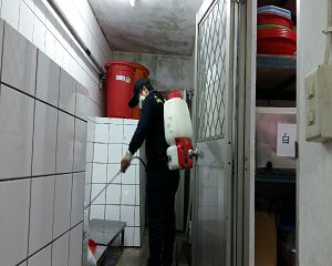 板橋消毒,板橋除蟲,新莊消毒,新莊除蟲,土城消毒,土城除蟲,五股消毒,五股除蟲,三重消毒,三重除蟲,中和消毒,中和除蟲,新店消毒,新店除蟲,中和消毒,中和除蟲,新店消毒,新店除蟲,永和除蟲,永和消毒,蘆洲除蟲,蘆洲消毒,三峽消毒,三峽除蟲,泰山消毒,泰山除蟲,樹林消毒,樹林除蟲,林口消毒,林口除蟲,迴龍消毒,迴龍除蟲,龜山消毒,龜山除蟲,台北市(全區)消毒除蟲,辦公室消毒(除蟲),社區消毒公告,社區環境消毒,社區消毒費用,社區消毒注意事項,社區消毒藥劑,社區消毒申請,社區消毒招標,社區大樓消毒,社區消毒公司,社區消毒,社區消毒公告,餐廳消毒(除蟲),餐廳消毒公司,餐廳消毒費用,餐廳消毒方法,餐廳消毒法規,餐廳消毒公告,餐廳消毒公司,環境消毒(除蟲),餐廳消毒(除蟲),環境消毒(除蟲),殺菌工程,辦公室消毒,辦公室消毒注意事項,辦公室消毒公告,辦公室消毒公司,辦公室消毒費用,辦公室消毒,辦公室消毒方式,辦公室消毒方法,辦公室消毒 diy,家裡消毒,家裡消毒方法,家裡消毒都用什麼消毒,消毒殺菌,家裡消毒要用什麼,居家消毒(除蟲),家裡除蟲,家裡除蚤,家裡除臭,家裡除蟑螂,跳蚤,跳蚤咬,跳蚤咬傷症狀,跳蚤防治,跳蚤怕什麼,跳蚤咬傷藥膏,跳蚤咬傷症狀,螞蟻怕什麼,螞蟻藥,白蟻防治,白蟻藥哪裡買,白蟻怕什麼,螞蟻怕什麼,白蟻消滅,白蟻藥,殺白蟻藥,殺白蟻的方法,殺白蟻公司,殺白蟻費用,蟑螂藥,蟑螂怕什麼,蟑螂圖片,蟑螂炸彈,蟑螂,蟑螂蛋,蟑螂小強,殺蟑螂最有效的方法,殺跳蚤的方法,殺跳蚤藥,殺跳蚤 diy,殺跳蚤殺蟲劑,殺跳蚤水煙,殺跳蚤卵,殺跳蚤公司,殺跳蚤劑,殺螞蟻的方法,殺螞蟻藥,殺螞蟻最有效的方法,殺螞蟻硼酸,殺螞蟻硼砂,殺螞蟻妙方,殺螞蟻窩,殺螞蟻硼酸,殺臭蟲方法,殺臭蟲藥,殺臭蟲劑,殺臭蟲公司,殺臭蟲水煙,殺臭蟲藥劑,殺蛀蟲藥,殺蛀蟲方法,殺蛀蟲劑,殺蛀蟲藥哪買,殺塵蹣,消毒公司推薦,除蟲公司推薦,除蟲專家,消毒清潔,飯店消毒除蟲,木板防蟲處理,防蟲處理,公司消毒除蟲,白蟻防治,KTV酒店消毒除蟲,廠房消毒除蟲,學校消毒除蟲,幼稚園消毒除蟲殺菌,空間殺菌,市場消毒除蟲,工廠消毒除蟲,汽車旅館消毒除蟲,住家消毒除蟲,大樓消毒除蟲,醫院消毒除蟲,機關消毒除蟲,公共場所消毒除蟲,鐵皮屋消毒除蟲,木料防治,腸病毒處理,除蟲公司價錢,消毒公司價錢,便宜消毒,跳蚤處理,白蟻處理,養老院消毒除蟲,營業場所消毒除蟲,蚊子,蒼蠅,蟑螂,德國蟑螂,老鼠,跳蚤,白蟻,蛀蟲,姬薪蟲,嚙蟲,臭蟲,台北消毒,台北除蟲,新北除蟲,新北消毒,板橋消毒,板橋除蟲,白蟻防治,餐廳消毒,消毒公司,除蟲公司,白蟻保固,環境消毒,辦公室消毒,台北除白蟻,除蟲專家,台北除跳蚤,消毒除蟲,蟲害防治,居家除蟲,除蟲服務,社區消毒,幼兒園消毒,托嬰中心消毒,跳蚤防治,跳蚤處理,殺跳蚤 板橋消毒,板橋除蟲,新莊消毒,新莊除蟲,土城消毒,土城除蟲,五股消毒,五股除蟲,三重消毒,三重除蟲,中和消毒,中和除蟲,新店消毒,新店除蟲,中和消毒,中和除蟲,新店消毒,新店除蟲,永和除蟲,永和消毒,蘆洲除蟲,蘆洲消毒,三峽消毒,三峽除蟲,泰山消毒,泰山除蟲,樹林消毒,樹林除蟲,林口消毒,林口除蟲,迴龍消毒,迴龍除蟲,龜山消毒,龜山除蟲,台北市(全區)消毒除蟲,辦公室消毒(除蟲),社區消毒公告,社區環境消毒,社區消毒費用,社區消毒注意事項,社區消毒藥劑,社區消毒申請,社區消毒招標,社區大樓消毒,社區消毒公司,社區消毒,社區消毒公告,餐廳消毒(除蟲),餐廳消毒公司,餐廳消毒費用,餐廳消毒方法,餐廳消毒法規,餐廳消毒公告,餐廳消毒公司,環境消毒(除蟲),餐廳消毒(除蟲),環境消毒(除蟲),殺菌工程,辦公室消毒,辦公室消毒注意事項,辦公室消毒公告,辦公室消毒公司,辦公室消毒費用,辦公室消毒,辦公室消毒方式,辦公室消毒方法,辦公室消毒 diy,家裡消毒,家裡消毒方法,家裡消毒都用什麼消毒,消毒殺菌,家裡消毒要用什麼,居家消毒(除蟲),家裡除蟲,家裡除蚤,家裡除臭,家裡除蟑螂,跳蚤,跳蚤咬,跳蚤咬傷症狀,跳蚤防治,跳蚤怕什麼,跳蚤咬傷藥膏,跳蚤咬傷症狀,螞蟻怕什麼,螞蟻藥,白蟻防治,白蟻藥哪裡買,白蟻怕什麼,螞蟻怕什麼,白蟻消滅,白蟻藥,殺白蟻藥,殺白蟻的方法,殺白蟻公司,殺白蟻費用,蟑螂藥,蟑螂怕什麼,蟑螂圖片,蟑螂炸彈,蟑螂,蟑螂蛋,蟑螂小強,殺蟑螂最有效的方法,殺跳蚤的方法,殺跳蚤藥,殺跳蚤 diy,殺跳蚤殺蟲劑,殺跳蚤水煙,殺跳蚤卵,殺跳蚤公司,殺跳蚤劑,殺螞蟻的方法,殺螞蟻藥,殺螞蟻最有效的方法,殺螞蟻硼酸,殺螞蟻硼砂,殺螞蟻妙方,殺螞蟻窩,殺螞蟻硼酸,殺臭蟲方法,殺臭蟲藥,殺臭蟲劑,殺臭蟲公司,殺臭蟲水煙,殺臭蟲藥劑,殺蛀蟲藥,殺蛀蟲方法,殺蛀蟲劑,殺蛀蟲藥哪買,殺塵蹣,消毒公司推薦,除蟲公司推薦,除蟲專家,消毒清潔,飯店消毒除蟲,木板防蟲處理,防蟲處理,公司消毒除蟲,白蟻防治,KTV酒店消毒除蟲,廠房消毒除蟲,學校消毒除蟲,幼稚園消毒除蟲殺菌,空間殺菌,市場消毒除蟲,工廠消毒除蟲,汽車旅館消毒除蟲,住家消毒除蟲,大樓消毒除蟲,醫院消毒除蟲,機關消毒除蟲,公共場所消毒除蟲,鐵皮屋消毒除蟲,木料防治,腸病毒處理,除蟲公司價錢,消毒公司價錢,便宜消毒,跳蚤處理,白蟻處理,養老院消毒除蟲,營業場所消毒除蟲,蚊子,蒼蠅,蟑螂,德國蟑螂,老鼠,跳蚤,白蟻,蛀蟲,姬薪蟲,嚙蟲,臭蟲,台北消毒,台北除蟲,新北除蟲,新北消毒,板橋消毒,板橋除蟲,白蟻防治,餐廳消毒,消毒公司,除蟲公司,白蟻保固,環境消毒,辦公室消毒,台北除白蟻,除蟲專家,台北除跳蚤,消毒除蟲,蟲害防治,居家除蟲,除蟲服務,社區消毒,幼兒園消毒,托嬰中心消毒,跳蚤防治,跳蚤處理,殺跳蚤