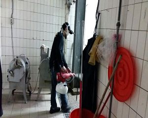 板橋消毒,板橋除蟲,新莊消毒,新莊除蟲,土城消毒,土城除蟲,五股消毒,五股除蟲,三重消毒,三重除蟲,中和消毒,中和除蟲,新店消毒,新店除蟲,中和消毒,中和除蟲,新店消毒,新店除蟲,永和除蟲,永和消毒,蘆洲除蟲,蘆洲消毒,三峽消毒,三峽除蟲,泰山消毒,泰山除蟲,樹林消毒,樹林除蟲,林口消毒,林口除蟲,迴龍消毒,迴龍除蟲,龜山消毒,龜山除蟲,台北市(全區)消毒除蟲,辦公室消毒(除蟲),社區消毒公告,社區環境消毒,社區消毒費用,社區消毒注意事項,社區消毒藥劑,社區消毒申請,社區消毒招標,社區大樓消毒,社區消毒公司,社區消毒,社區消毒公告,餐廳消毒(除蟲),餐廳消毒公司,餐廳消毒費用,餐廳消毒方法,餐廳消毒法規,餐廳消毒公告,餐廳消毒公司,環境消毒(除蟲),餐廳消毒(除蟲),環境消毒(除蟲),殺菌工程,辦公室消毒,辦公室消毒注意事項,辦公室消毒公告,辦公室消毒公司,辦公室消毒費用,辦公室消毒,辦公室消毒方式,辦公室消毒方法,辦公室消毒 diy,家裡消毒,家裡消毒方法,家裡消毒都用什麼消毒,消毒殺菌,家裡消毒要用什麼,居家消毒(除蟲),家裡除蟲,家裡除蚤,家裡除臭,家裡除蟑螂,跳蚤,跳蚤咬,跳蚤咬傷症狀,跳蚤防治,跳蚤怕什麼,跳蚤咬傷藥膏,跳蚤咬傷症狀,螞蟻怕什麼,螞蟻藥,白蟻防治,白蟻藥哪裡買,白蟻怕什麼,螞蟻怕什麼,白蟻消滅,白蟻藥,殺白蟻藥,殺白蟻的方法,殺白蟻公司,殺白蟻費用,蟑螂藥,蟑螂怕什麼,蟑螂圖片,蟑螂炸彈,蟑螂,蟑螂蛋,蟑螂小強,殺蟑螂最有效的方法,殺跳蚤的方法,殺跳蚤藥,殺跳蚤 diy,殺跳蚤殺蟲劑,殺跳蚤水煙,殺跳蚤卵,殺跳蚤公司,殺跳蚤劑,殺螞蟻的方法,殺螞蟻藥,殺螞蟻最有效的方法,殺螞蟻硼酸,殺螞蟻硼砂,殺螞蟻妙方,殺螞蟻窩,殺螞蟻硼酸,殺臭蟲方法,殺臭蟲藥,殺臭蟲劑,殺臭蟲公司,殺臭蟲水煙,殺臭蟲藥劑,殺蛀蟲藥,殺蛀蟲方法,殺蛀蟲劑,殺蛀蟲藥哪買,殺塵蹣,消毒公司推薦,除蟲公司推薦,除蟲專家,消毒清潔,飯店消毒除蟲,木板防蟲處理,防蟲處理,公司消毒除蟲,白蟻防治,KTV酒店消毒除蟲,廠房消毒除蟲,學校消毒除蟲,幼稚園消毒除蟲殺菌,空間殺菌,市場消毒除蟲,工廠消毒除蟲,汽車旅館消毒除蟲,住家消毒除蟲,大樓消毒除蟲,醫院消毒除蟲,機關消毒除蟲,公共場所消毒除蟲,鐵皮屋消毒除蟲,木料防治,腸病毒處理,除蟲公司價錢,消毒公司價錢,便宜消毒,跳蚤處理,白蟻處理,養老院消毒除蟲,營業場所消毒除蟲,蚊子,蒼蠅,蟑螂,德國蟑螂,老鼠,跳蚤,白蟻,蛀蟲,姬薪蟲,嚙蟲,臭蟲,台北消毒,台北除蟲,新北除蟲,新北消毒,板橋消毒,板橋除蟲,白蟻防治,餐廳消毒,消毒公司,除蟲公司,白蟻保固,環境消毒,辦公室消毒,台北除白蟻,除蟲專家,台北除跳蚤,消毒除蟲,蟲害防治,居家除蟲,除蟲服務,社區消毒,幼兒園消毒,托嬰中心消毒,跳蚤防治,跳蚤處理,殺跳蚤 板橋消毒,板橋除蟲,新莊消毒,新莊除蟲,土城消毒,土城除蟲,五股消毒,五股除蟲,三重消毒,三重除蟲,中和消毒,中和除蟲,新店消毒,新店除蟲,中和消毒,中和除蟲,新店消毒,新店除蟲,永和除蟲,永和消毒,蘆洲除蟲,蘆洲消毒,三峽消毒,三峽除蟲,泰山消毒,泰山除蟲,樹林消毒,樹林除蟲,林口消毒,林口除蟲,迴龍消毒,迴龍除蟲,龜山消毒,龜山除蟲,台北市(全區)消毒除蟲,辦公室消毒(除蟲),社區消毒公告,社區環境消毒,社區消毒費用,社區消毒注意事項,社區消毒藥劑,社區消毒申請,社區消毒招標,社區大樓消毒,社區消毒公司,社區消毒,社區消毒公告,餐廳消毒(除蟲),餐廳消毒公司,餐廳消毒費用,餐廳消毒方法,餐廳消毒法規,餐廳消毒公告,餐廳消毒公司,環境消毒(除蟲),餐廳消毒(除蟲),環境消毒(除蟲),殺菌工程,辦公室消毒,辦公室消毒注意事項,辦公室消毒公告,辦公室消毒公司,辦公室消毒費用,辦公室消毒,辦公室消毒方式,辦公室消毒方法,辦公室消毒 diy,家裡消毒,家裡消毒方法,家裡消毒都用什麼消毒,消毒殺菌,家裡消毒要用什麼,居家消毒(除蟲),家裡除蟲,家裡除蚤,家裡除臭,家裡除蟑螂,跳蚤,跳蚤咬,跳蚤咬傷症狀,跳蚤防治,跳蚤怕什麼,跳蚤咬傷藥膏,跳蚤咬傷症狀,螞蟻怕什麼,螞蟻藥,白蟻防治,白蟻藥哪裡買,白蟻怕什麼,螞蟻怕什麼,白蟻消滅,白蟻藥,殺白蟻藥,殺白蟻的方法,殺白蟻公司,殺白蟻費用,蟑螂藥,蟑螂怕什麼,蟑螂圖片,蟑螂炸彈,蟑螂,蟑螂蛋,蟑螂小強,殺蟑螂最有效的方法,殺跳蚤的方法,殺跳蚤藥,殺跳蚤 diy,殺跳蚤殺蟲劑,殺跳蚤水煙,殺跳蚤卵,殺跳蚤公司,殺跳蚤劑,殺螞蟻的方法,殺螞蟻藥,殺螞蟻最有效的方法,殺螞蟻硼酸,殺螞蟻硼砂,殺螞蟻妙方,殺螞蟻窩,殺螞蟻硼酸,殺臭蟲方法,殺臭蟲藥,殺臭蟲劑,殺臭蟲公司,殺臭蟲水煙,殺臭蟲藥劑,殺蛀蟲藥,殺蛀蟲方法,殺蛀蟲劑,殺蛀蟲藥哪買,殺塵蹣,消毒公司推薦,除蟲公司推薦,除蟲專家,消毒清潔,飯店消毒除蟲,木板防蟲處理,防蟲處理,公司消毒除蟲,白蟻防治,KTV酒店消毒除蟲,廠房消毒除蟲,學校消毒除蟲,幼稚園消毒除蟲殺菌,空間殺菌,市場消毒除蟲,工廠消毒除蟲,汽車旅館消毒除蟲,住家消毒除蟲,大樓消毒除蟲,醫院消毒除蟲,機關消毒除蟲,公共場所消毒除蟲,鐵皮屋消毒除蟲,木料防治,腸病毒處理,除蟲公司價錢,消毒公司價錢,便宜消毒,跳蚤處理,白蟻處理,養老院消毒除蟲,營業場所消毒除蟲,蚊子,蒼蠅,蟑螂,德國蟑螂,老鼠,跳蚤,白蟻,蛀蟲,姬薪蟲,嚙蟲,臭蟲,台北消毒,台北除蟲,新北除蟲,新北消毒,板橋消毒,板橋除蟲,白蟻防治,餐廳消毒,消毒公司,除蟲公司,白蟻保固,環境消毒,辦公室消毒,台北除白蟻,除蟲專家,台北除跳蚤,消毒除蟲,蟲害防治,居家除蟲,除蟲服務,社區消毒,幼兒園消毒,托嬰中心消毒,跳蚤防治,跳蚤處理,殺跳蚤