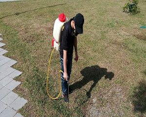 消毒公司,除蟲公司,白蟻保固,白蟻防治,消毒除蟲,坐月子中心消毒,產後護理之家消毒環境消毒,專業除蟲,辦公室消毒除蟲,社區消毒除蟲,餐廳消毒,蛀蟲防治,白蟻處理,除白蟻專家,台北除白蟻,台北除跳蚤,跳蚤處理,飯店消毒,飯店除蟲,蟑螂防治,跳蚤防治,病媒蚊消毒,臭蟲處理,臭蟲防治,姬薪蟲處理,菸甲蟲處理,消毒公司推薦,除蟲公司推薦,裝潢蟲處理,幼兒園消毒,住家消毒除蟲,白蟻防治,白蟻保固,白蟻藥,白蟻窩,特滅多,蟻巢滅,除白蟻,白蟻怕什麼,白蟻藥,白蟻油,消滅白蟻的方法,白蟻線上看,白蟻幼蟲,白蟻種類,白蟻圖,白蟻DIY ,白蟻電影,白蟻照片,台北除白蟻,新北除白蟻,除白蟻公司,白蟻達人,白蟻專家,白蟻相關,板橋除白蟻,新莊除白蟻,樹林除白蟻 消毒公司,除蟲公司,白蟻保固,白蟻防治,消毒除蟲,坐月子中心消毒,產後護理之家消毒環境消毒,專業除蟲,辦公室消毒除蟲,社區消毒除蟲,餐廳消毒,蛀蟲防治,白蟻處理,除白蟻專家,台北除白蟻,台北除跳蚤,跳蚤處理,飯店消毒,飯店除蟲,蟑螂防治,跳蚤防治,病媒蚊消毒,臭蟲處理,臭蟲防治,姬薪蟲處理,菸甲蟲處理,消毒公司推薦,除蟲公司推薦,裝潢蟲處理,幼兒園消毒,住家消毒除蟲,白蟻防治,白蟻保固,白蟻藥,白蟻窩,特滅多,蟻巢滅,除白蟻,白蟻怕什麼,白蟻藥,白蟻油,消滅白蟻的方法,白蟻線上看,白蟻幼蟲,白蟻種類,白蟻圖,白蟻DIY ,白蟻電影,白蟻照片,台北除白蟻,新北除白蟻,除白蟻公司,白蟻達人,白蟻專家,白蟻相關,板橋除白蟻,新莊除白蟻,樹林除白蟻