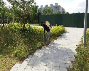 消毒公司,除蟲公司,白蟻保固,白蟻防治,消毒除蟲,坐月子中心消毒,產後護理之家消毒環境消毒,專業除蟲,辦公室消毒除蟲,社區消毒除蟲,餐廳消毒,蛀蟲防治,白蟻處理,除白蟻專家,台北除白蟻,台北除跳蚤,跳蚤處理,飯店消毒,飯店除蟲,蟑螂防治,跳蚤防治,病媒蚊消毒,臭蟲處理,臭蟲防治,姬薪蟲處理,菸甲蟲處理,消毒公司推薦,除蟲公司推薦,裝潢蟲處理,幼兒園消毒,住家消毒除蟲,白蟻防治,白蟻保固,白蟻藥,白蟻窩,特滅多,蟻巢滅,除白蟻,白蟻怕什麼,白蟻藥,白蟻油,消滅白蟻的方法,白蟻線上看,白蟻幼蟲,白蟻種類,白蟻圖,白蟻DIY ,白蟻電影,白蟻照片,台北除白蟻,新北除白蟻,除白蟻公司,白蟻達人,白蟻專家,白蟻相關,板橋除白蟻,新莊除白蟻,樹林除白蟻 消毒公司,除蟲公司,白蟻保固,白蟻防治,消毒除蟲,坐月子中心消毒,產後護理之家消毒環境消毒,專業除蟲,辦公室消毒除蟲,社區消毒除蟲,餐廳消毒,蛀蟲防治,白蟻處理,除白蟻專家,台北除白蟻,台北除跳蚤,跳蚤處理,飯店消毒,飯店除蟲,蟑螂防治,跳蚤防治,病媒蚊消毒,臭蟲處理,臭蟲防治,姬薪蟲處理,菸甲蟲處理,消毒公司推薦,除蟲公司推薦,裝潢蟲處理,幼兒園消毒,住家消毒除蟲,白蟻防治,白蟻保固,白蟻藥,白蟻窩,特滅多,蟻巢滅,除白蟻,白蟻怕什麼,白蟻藥,白蟻油,消滅白蟻的方法,白蟻線上看,白蟻幼蟲,白蟻種類,白蟻圖,白蟻DIY ,白蟻電影,白蟻照片,台北除白蟻,新北除白蟻,除白蟻公司,白蟻達人,白蟻專家,白蟻相關,板橋除白蟻,新莊除白蟻,樹林除白蟻