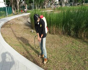 消毒公司,除蟲公司,白蟻保固,白蟻防治,消毒除蟲,坐月子中心消毒,產後護理之家消毒環境消毒,專業除蟲,辦公室消毒除蟲,社區消毒除蟲,餐廳消毒,蛀蟲防治,白蟻處理,除白蟻專家,台北除白蟻,台北除跳蚤,跳蚤處理,飯店消毒,飯店除蟲,蟑螂防治,跳蚤防治,病媒蚊消毒,臭蟲處理,臭蟲防治,姬薪蟲處理,菸甲蟲處理,消毒公司推薦,除蟲公司推薦,裝潢蟲處理,幼兒園消毒,住家消毒除蟲,白蟻防治,白蟻保固,白蟻藥,白蟻窩,特滅多,蟻巢滅,除白蟻,白蟻怕什麼,白蟻藥,白蟻油,消滅白蟻的方法,白蟻線上看,白蟻幼蟲,白蟻種類,白蟻圖,白蟻DIY ,白蟻電影,白蟻照片,台北除白蟻,新北除白蟻,除白蟻公司,白蟻達人,白蟻專家,白蟻相關,板橋除白蟻,新莊除白蟻,樹林除白蟻 消毒公司,除蟲公司,白蟻保固,白蟻防治,消毒除蟲,坐月子中心消毒,產後護理之家消毒環境消毒,專業除蟲,辦公室消毒除蟲,社區消毒除蟲,餐廳消毒,蛀蟲防治,白蟻處理,除白蟻專家,台北除白蟻,台北除跳蚤,跳蚤處理,飯店消毒,飯店除蟲,蟑螂防治,跳蚤防治,病媒蚊消毒,臭蟲處理,臭蟲防治,姬薪蟲處理,菸甲蟲處理,消毒公司推薦,除蟲公司推薦,裝潢蟲處理,幼兒園消毒,住家消毒除蟲,白蟻防治,白蟻保固,白蟻藥,白蟻窩,特滅多,蟻巢滅,除白蟻,白蟻怕什麼,白蟻藥,白蟻油,消滅白蟻的方法,白蟻線上看,白蟻幼蟲,白蟻種類,白蟻圖,白蟻DIY ,白蟻電影,白蟻照片,台北除白蟻,新北除白蟻,除白蟻公司,白蟻達人,白蟻專家,白蟻相關,板橋除白蟻,新莊除白蟻,樹林除白蟻