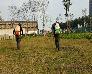 消毒公司,除蟲公司,白蟻保固,白蟻防治,消毒除蟲,坐月子中心消毒,產後護理之家消毒環境消毒,專業除蟲,辦公室消毒除蟲,社區消毒除蟲,餐廳消毒,蛀蟲防治,白蟻處理,除白蟻專家,台北除白蟻,台北除跳蚤,跳蚤處理,飯店消毒,飯店除蟲,蟑螂防治,跳蚤防治,病媒蚊消毒,臭蟲處理,臭蟲防治,姬薪蟲處理,菸甲蟲處理,消毒公司推薦,除蟲公司推薦,裝潢蟲處理,幼兒園消毒,住家消毒除蟲,白蟻防治,白蟻保固,白蟻藥,白蟻窩,特滅多,蟻巢滅,除白蟻,白蟻怕什麼,白蟻藥,白蟻油,消滅白蟻的方法,白蟻線上看,白蟻幼蟲,白蟻種類,白蟻圖,白蟻DIY ,白蟻電影,白蟻照片,台北除白蟻,新北除白蟻,除白蟻公司,白蟻達人,白蟻專家,白蟻相關,板橋除白蟻,新莊除白蟻,樹林除白蟻 消毒公司,除蟲公司,白蟻保固,白蟻防治,消毒除蟲,坐月子中心消毒,產後護理之家消毒環境消毒,專業除蟲,辦公室消毒除蟲,社區消毒除蟲,餐廳消毒,蛀蟲防治,白蟻處理,除白蟻專家,台北除白蟻,台北除跳蚤,跳蚤處理,飯店消毒,飯店除蟲,蟑螂防治,跳蚤防治,病媒蚊消毒,臭蟲處理,臭蟲防治,姬薪蟲處理,菸甲蟲處理,消毒公司推薦,除蟲公司推薦,裝潢蟲處理,幼兒園消毒,住家消毒除蟲,白蟻防治,白蟻保固,白蟻藥,白蟻窩,特滅多,蟻巢滅,除白蟻,白蟻怕什麼,白蟻藥,白蟻油,消滅白蟻的方法,白蟻線上看,白蟻幼蟲,白蟻種類,白蟻圖,白蟻DIY ,白蟻電影,白蟻照片,台北除白蟻,新北除白蟻,除白蟻公司,白蟻達人,白蟻專家,白蟻相關,板橋除白蟻,新莊除白蟻,樹林除白蟻