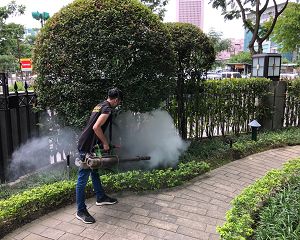 台北消毒，台北除蟲，新北除蟲，新北消毒, 台北消毒，台北除蟲，新北除蟲，新北消毒，板橋消毒，板橋除蟲，白蟻防治，消毒公司，除蟲公司