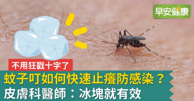 蚊子叮如何快速止癢防感染？皮膚科醫師：冰塊就有效