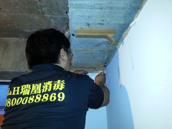 檢視蟻道判定動向(1)