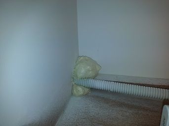 於老鼠動線填補