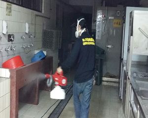 板橋消毒,板橋除蟲,新莊消毒,新莊除蟲,土城消毒,土城除蟲,五股消毒,五股除蟲,三重消毒,三重除蟲,中和消毒,中和除蟲,新店消毒,新店除蟲,中和消毒,中和除蟲,新店消毒,新店除蟲,永和除蟲,永和消毒,蘆洲除蟲,蘆洲消毒,三峽消毒,三峽除蟲,泰山消毒,泰山除蟲,樹林消毒,樹林除蟲,林口消毒,林口除蟲,迴龍消毒,迴龍除蟲,龜山消毒,龜山除蟲,台北市(全區)消毒除蟲,辦公室消毒(除蟲),社區消毒公告,社區環境消毒,社區消毒費用,社區消毒注意事項,社區消毒藥劑,社區消毒申請,社區消毒招標,社區大樓消毒,社區消毒公司,社區消毒,社區消毒公告,餐廳消毒(除蟲),餐廳消毒公司,餐廳消毒費用,餐廳消毒方法,餐廳消毒法規,餐廳消毒公告,餐廳消毒公司,環境消毒(除蟲),餐廳消毒(除蟲),環境消毒(除蟲),殺菌工程,辦公室消毒,辦公室消毒注意事項,辦公室消毒公告,辦公室消毒公司,辦公室消毒費用,辦公室消毒,辦公室消毒方式,辦公室消毒方法,辦公室消毒 diy,家裡消毒,家裡消毒方法,家裡消毒都用什麼消毒,消毒殺菌,家裡消毒要用什麼,居家消毒(除蟲),家裡除蟲,家裡除蚤,家裡除臭,家裡除蟑螂,跳蚤,跳蚤咬,跳蚤咬傷症狀,跳蚤防治,跳蚤怕什麼,跳蚤咬傷藥膏,跳蚤咬傷症狀,螞蟻怕什麼,螞蟻藥,白蟻防治,白蟻藥哪裡買,白蟻怕什麼,螞蟻怕什麼,白蟻消滅,白蟻藥,殺白蟻藥,殺白蟻的方法,殺白蟻公司,殺白蟻費用,蟑螂藥,蟑螂怕什麼,蟑螂圖片,蟑螂炸彈,蟑螂,蟑螂蛋,蟑螂小強,殺蟑螂最有效的方法,殺跳蚤的方法,殺跳蚤藥,殺跳蚤 diy,殺跳蚤殺蟲劑,殺跳蚤水煙,殺跳蚤卵,殺跳蚤公司,殺跳蚤劑,殺螞蟻的方法,殺螞蟻藥,殺螞蟻最有效的方法,殺螞蟻硼酸,殺螞蟻硼砂,殺螞蟻妙方,殺螞蟻窩,殺螞蟻硼酸,殺臭蟲方法,殺臭蟲藥,殺臭蟲劑,殺臭蟲公司,殺臭蟲水煙,殺臭蟲藥劑,殺蛀蟲藥,殺蛀蟲方法,殺蛀蟲劑,殺蛀蟲藥哪買,殺塵蹣,消毒公司推薦,除蟲公司推薦,除蟲專家,消毒清潔,飯店消毒除蟲,木板防蟲處理,防蟲處理,公司消毒除蟲,白蟻防治,KTV酒店消毒除蟲,廠房消毒除蟲,學校消毒除蟲,幼稚園消毒除蟲殺菌,空間殺菌,市場消毒除蟲,工廠消毒除蟲,汽車旅館消毒除蟲,住家消毒除蟲,大樓消毒除蟲,醫院消毒除蟲,機關消毒除蟲,公共場所消毒除蟲,鐵皮屋消毒除蟲,木料防治,腸病毒處理,除蟲公司價錢,消毒公司價錢,便宜消毒,跳蚤處理,白蟻處理,養老院消毒除蟲,營業場所消毒除蟲,蚊子,蒼蠅,蟑螂,德國蟑螂,老鼠,跳蚤,白蟻,蛀蟲,姬薪蟲,嚙蟲,臭蟲,台北消毒，台北除蟲，新北除蟲，新北消毒，板橋消毒，板橋除蟲，白蟻防治，餐廳消毒，消毒公司，除蟲公司，白蟻保固，環境消毒，辦公室消毒，台北除白蟻，除蟲專家，台北除跳蚤，消毒除蟲，蟲害防治，居家除蟲,除蟲服務,社區消毒,幼兒園消毒,托嬰中心消毒,跳蚤防治,跳蚤處理,殺跳蚤,早餐店消毒除蟑