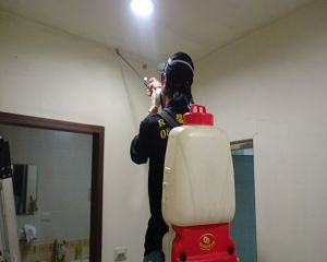 白蟻防治,白蟻保固,台北除白蟻,白蟻藥,特滅多,白蟻窩,大水蟻,消毒公司,除蟲公司,白蟻保固,白蟻防治,消毒除蟲, 環境消毒,專業除蟲,辦公室消毒除蟲,社區消毒除蟲,餐廳消毒,蛀蟲防治,白蟻處理,除白蟻專家,台北除白蟻,台北除跳蚤,跳蚤處理,飯店消毒,飯店除蟲,蟑螂防治,跳蚤防治,病媒蚊消毒,臭蟲處理,臭蟲防治,姬薪蟲處理,菸甲蟲處理,消毒公司推薦,除蟲公司推薦,裝潢蟲處理,幼兒園消毒,住家消毒除蟲