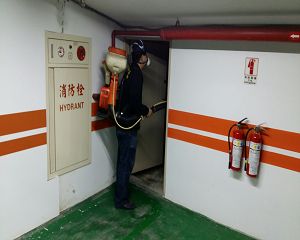 消毒公司,除蟲公司,白蟻保固,白蟻防治,消毒除蟲, 環境消毒,專業除蟲,辦公室消毒除蟲,社區消毒除蟲,餐廳消毒,蛀蟲防治,白蟻處理,除白蟻專家,台北除白蟻,台北除跳蚤,跳蚤處理,飯店消毒,飯店除蟲,蟑螂防治,跳蚤防治,病媒蚊消毒,臭蟲處理,臭蟲防治,姬薪蟲處理,菸甲蟲處理,消毒公司推薦,除蟲公司推薦,裝潢蟲處理,幼兒園消毒,住家消毒除蟲