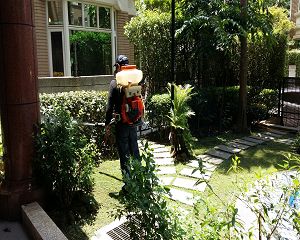 消毒公司,除蟲公司,白蟻保固,白蟻防治,消毒除蟲, 環境消毒,專業除蟲,辦公室消毒除蟲,社區消毒除蟲,餐廳消毒,蛀蟲防治,白蟻處理,除白蟻專家,台北除白蟻,台北除跳蚤,跳蚤處理,飯店消毒,飯店除蟲,蟑螂防治,跳蚤防治,病媒蚊消毒,臭蟲處理,臭蟲防治,姬薪蟲處理,菸甲蟲處理,消毒公司推薦,除蟲公司推薦,裝潢蟲處理,幼兒園消毒,住家消毒除蟲