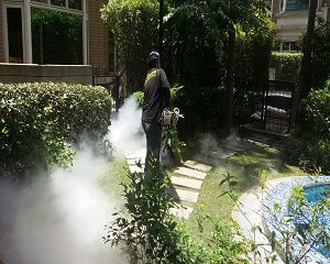 消毒公司,除蟲公司,白蟻保固,白蟻防治,消毒除蟲, 環境消毒,專業除蟲,辦公室消毒除蟲,社區消毒除蟲,餐廳消毒,蛀蟲防治,白蟻處理,除白蟻專家,台北除白蟻,台北除跳蚤,跳蚤處理,飯店消毒,飯店除蟲,蟑螂防治,跳蚤防治,病媒蚊消毒,臭蟲處理,臭蟲防治,姬薪蟲處理,菸甲蟲處理,消毒公司推薦,除蟲公司推薦,裝潢蟲處理,幼兒園消毒,住家消毒除蟲