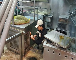 消毒公司,除蟲公司,白蟻保固,白蟻防治,消毒除蟲,坐月子中心消毒,產後護理之家消毒 環境消毒,專業除蟲,辦公室消毒除蟲,社區消毒除蟲,餐廳消毒,蛀蟲防治,白蟻處理,除白蟻專家,台北除白蟻,台北除跳蚤,跳蚤處理,飯店消毒,飯店除蟲,蟑螂防治,跳蚤防治,病媒蚊消毒,臭蟲處理,臭蟲防治,姬薪蟲處理,菸甲蟲處理,消毒公司推薦,除蟲公司推薦,裝潢蟲處理,幼兒園消毒,住家消毒除蟲
