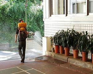 消毒公司,除蟲公司,白蟻保固,白蟻防治,消毒除蟲,坐月子中心消毒,產後護理之家消毒 環境消毒,專業除蟲,辦公室消毒除蟲,社區消毒除蟲,餐廳消毒,蛀蟲防治,白蟻處理,除白蟻專家,台北除白蟻,台北除跳蚤,跳蚤處理,飯店消毒,飯店除蟲,蟑螂防治,跳蚤防治,病媒蚊消毒,臭蟲處理,臭蟲防治,姬薪蟲處理,菸甲蟲處理,消毒公司推薦,除蟲公司推薦,裝潢蟲處理,幼兒園消毒,住家消毒除蟲