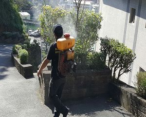消毒公司,除蟲公司,白蟻保固,白蟻防治,消毒除蟲,坐月子中心消毒,產後護理之家消毒 環境消毒,專業除蟲,辦公室消毒除蟲,社區消毒除蟲,餐廳消毒,蛀蟲防治,白蟻處理,除白蟻專家,台北除白蟻,台北除跳蚤,跳蚤處理,飯店消毒,飯店除蟲,蟑螂防治,跳蚤防治,病媒蚊消毒,臭蟲處理,臭蟲防治,姬薪蟲處理,菸甲蟲處理,消毒公司推薦,除蟲公司推薦,裝潢蟲處理,幼兒園消毒,住家消毒除蟲