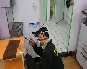 消毒公司,除蟲公司,白蟻保固,白蟻防治,消毒除蟲,坐月子中心消毒,產後護理之家消毒環境消毒,專業除蟲,辦公室消毒除蟲,社區消毒除蟲,餐廳消毒,蛀蟲防治,白蟻處理,除白蟻專家,台北除白蟻,台北除跳蚤,跳蚤處理,飯店消毒,飯店除蟲,蟑螂防治,跳蚤防治,病媒蚊消毒,臭蟲處理,臭蟲防治,姬薪蟲處理,菸甲蟲處理,消毒公司推薦,除蟲公司推薦,裝潢蟲處理,幼兒園消毒,住家消毒除蟲