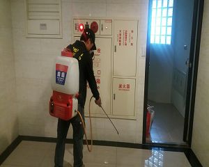消毒公司,除蟲公司,白蟻保固,白蟻防治,消毒除蟲,坐月子中心消毒,產後護理之家消毒環境消毒,專業除蟲,辦公室消毒除蟲,社區消毒除蟲,餐廳消毒,蛀蟲防治,白蟻處理,除白蟻專家,台北除白蟻,台北除跳蚤,跳蚤處理,飯店消毒,飯店除蟲,蟑螂防治,跳蚤防治,病媒蚊消毒,臭蟲處理,臭蟲防治,姬薪蟲處理,菸甲蟲處理,消毒公司推薦,除蟲公司推薦,裝潢蟲處理,幼兒園消毒,住家消毒除蟲,白蟻防治,白蟻保固,白蟻藥,白蟻窩,特滅多,蟻巢滅,除白蟻,白蟻怕什麼,白蟻藥,白蟻油,消滅白蟻的方法,白蟻線上看,白蟻幼蟲,白蟻種類,白蟻圖,白蟻DIY ,白蟻電影,白蟻照片,台北除白蟻,新北除白蟻,除白蟻公司,白蟻達人,白蟻專家,白蟻相關,板橋除白蟻,新莊除白蟻,樹林除白蟻