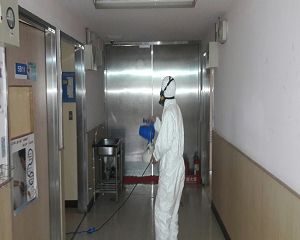 消毒公司,除蟲公司,白蟻保固,白蟻防治,消毒除蟲,坐月子中心消毒,產後護理之家消毒環境消毒,專業除蟲,辦公室消毒除蟲,社區消毒除蟲,餐廳消毒,蛀蟲防治,白蟻處理,除白蟻專家,台北除白蟻,台北除跳蚤,跳蚤處理,飯店消毒,飯店除蟲,蟑螂防治,跳蚤防治,病媒蚊消毒,臭蟲處理,臭蟲防治,姬薪蟲處理,菸甲蟲處理,消毒公司推薦,除蟲公司推薦,裝潢蟲處理,幼兒園消毒,住家消毒除蟲,白蟻防治,白蟻保固,白蟻藥,白蟻窩,特滅多,蟻巢滅,除白蟻,白蟻怕什麼,白蟻藥,白蟻油,消滅白蟻的方法,白蟻線上看,白蟻幼蟲,白蟻種類,白蟻圖,白蟻DIY ,白蟻電影,白蟻照片,台北除白蟻,新北除白蟻,除白蟻公司,白蟻達人,白蟻專家,白蟻相關,板橋除白蟻,新莊除白蟻,樹林除白蟻,殺菌消毒工程,H1N1,類流感,腸病毒,結核桿菌,黴菌
