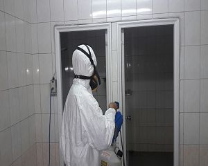 消毒公司,除蟲公司,白蟻保固,白蟻防治,消毒除蟲,坐月子中心消毒,產後護理之家消毒環境消毒,專業除蟲,辦公室消毒除蟲,社區消毒除蟲,餐廳消毒,蛀蟲防治,白蟻處理,除白蟻專家,台北除白蟻,台北除跳蚤,跳蚤處理,飯店消毒,飯店除蟲,蟑螂防治,跳蚤防治,病媒蚊消毒,臭蟲處理,臭蟲防治,姬薪蟲處理,菸甲蟲處理,消毒公司推薦,除蟲公司推薦,裝潢蟲處理,幼兒園消毒,住家消毒除蟲,白蟻防治,白蟻保固,白蟻藥,白蟻窩,特滅多,蟻巢滅,除白蟻,白蟻怕什麼,白蟻藥,白蟻油,消滅白蟻的方法,白蟻線上看,白蟻幼蟲,白蟻種類,白蟻圖,白蟻DIY ,白蟻電影,白蟻照片,台北除白蟻,新北除白蟻,除白蟻公司,白蟻達人,白蟻專家,白蟻相關,板橋除白蟻,新莊除白蟻,樹林除白蟻,殺菌消毒工程,H1N1,類流感,腸病毒,結核桿菌,黴菌