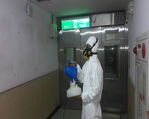 消毒公司,除蟲公司,白蟻保固,白蟻防治,消毒除蟲,坐月子中心消毒,產後護理之家消毒環境消毒,專業除蟲,辦公室消毒除蟲,社區消毒除蟲,餐廳消毒,蛀蟲防治,白蟻處理,除白蟻專家,台北除白蟻,台北除跳蚤,跳蚤處理,飯店消毒,飯店除蟲,蟑螂防治,跳蚤防治,病媒蚊消毒,臭蟲處理,臭蟲防治,姬薪蟲處理,菸甲蟲處理,消毒公司推薦,除蟲公司推薦,裝潢蟲處理,幼兒園消毒,住家消毒除蟲,白蟻防治,白蟻保固,白蟻藥,白蟻窩,特滅多,蟻巢滅,除白蟻,白蟻怕什麼,白蟻藥,白蟻油,消滅白蟻的方法,白蟻線上看,白蟻幼蟲,白蟻種類,白蟻圖,白蟻DIY ,白蟻電影,白蟻照片,台北除白蟻,新北除白蟻,除白蟻公司,白蟻達人,白蟻專家,白蟻相關,板橋除白蟻,新莊除白蟻,樹林除白蟻,殺菌消毒工程,H1N1,類流感,腸病毒,結核桿菌,黴菌