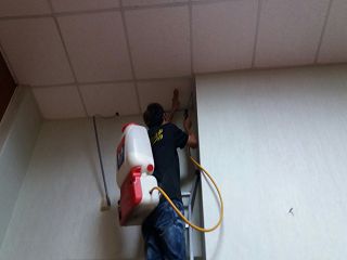 消毒公司,除蟲公司,白蟻保固,白蟻防治,消毒除蟲,坐月子中心消毒,產後護理之家消毒環境消毒,專業除蟲,辦公室消毒除蟲,社區消毒除蟲,餐廳消毒,蛀蟲防治,白蟻處理,除白蟻專家,台北除白蟻,台北除跳蚤,跳蚤處理,飯店消毒,飯店除蟲,蟑螂防治,跳蚤防治,病媒蚊消毒,臭蟲處理,臭蟲防治,姬薪蟲處理,菸甲蟲處理,消毒公司推薦,除蟲公司推薦,裝潢蟲處理,幼兒園消毒,住家消毒除蟲,白蟻防治,白蟻保固,白蟻藥,白蟻窩,特滅多,蟻巢滅,除白蟻,白蟻怕什麼,白蟻藥,白蟻油,消滅白蟻的方法,白蟻線上看,白蟻幼蟲,白蟻種類,白蟻圖,白蟻DIY ,白蟻電影,白蟻照片,台北除白蟻,新北除白蟻,除白蟻公司,白蟻達人,白蟻專家,白蟻相關,板橋除白蟻,新莊除白蟻,樹林除白蟻
