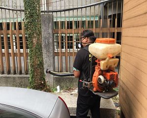 消毒公司,除蟲公司,白蟻保固,白蟻防治,消毒除蟲,坐月子中心消毒,產後護理之家消毒環境消毒,專業除蟲,辦公室消毒除蟲,社區消毒除蟲,餐廳消毒,蛀蟲防治,白蟻處理,除白蟻專家,台北除白蟻,台北除跳蚤,跳蚤處理,飯店消毒,飯店除蟲,蟑螂防治,跳蚤防治,病媒蚊消毒,臭蟲處理,臭蟲防治,姬薪蟲處理,菸甲蟲處理,消毒公司推薦,除蟲公司推薦,裝潢蟲處理,幼兒園消毒,住家消毒除蟲,白蟻防治,白蟻保固,白蟻藥,白蟻窩,特滅多,蟻巢滅,除白蟻,白蟻怕什麼,白蟻藥,白蟻油,消滅白蟻的方法,白蟻線上看,白蟻幼蟲,白蟻種類,白蟻圖,白蟻DIY ,白蟻電影,白蟻照片,台北除白蟻,新北除白蟻,除白蟻公司,白蟻達人,白蟻專家,白蟻相關,板橋除白蟻,新莊除白蟻,樹林除白蟻