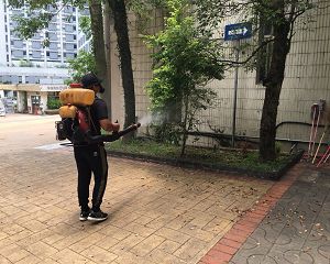 消毒公司,除蟲公司,白蟻保固,白蟻防治,消毒除蟲,坐月子中心消毒,產後護理之家消毒環境消毒,專業除蟲,辦公室消毒除蟲,社區消毒除蟲,餐廳消毒,蛀蟲防治,白蟻處理,除白蟻專家,台北除白蟻,台北除跳蚤,跳蚤處理,飯店消毒,飯店除蟲,蟑螂防治,跳蚤防治,病媒蚊消毒,臭蟲處理,臭蟲防治,姬薪蟲處理,菸甲蟲處理,消毒公司推薦,除蟲公司推薦,裝潢蟲處理,幼兒園消毒,住家消毒除蟲,白蟻防治,白蟻保固,白蟻藥,白蟻窩,特滅多,蟻巢滅,除白蟻,白蟻怕什麼,白蟻藥,白蟻油,消滅白蟻的方法,白蟻線上看,白蟻幼蟲,白蟻種類,白蟻圖,白蟻DIY ,白蟻電影,白蟻照片,台北除白蟻,新北除白蟻,除白蟻公司,白蟻達人,白蟻專家,白蟻相關,板橋除白蟻,新莊除白蟻,樹林除白蟻