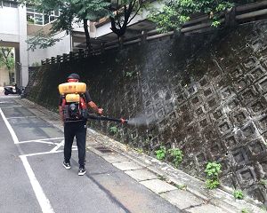 消毒公司,除蟲公司,白蟻保固,白蟻防治,消毒除蟲,坐月子中心消毒,產後護理之家消毒環境消毒,專業除蟲,辦公室消毒除蟲,社區消毒除蟲,餐廳消毒,蛀蟲防治,白蟻處理,除白蟻專家,台北除白蟻,台北除跳蚤,跳蚤處理,飯店消毒,飯店除蟲,蟑螂防治,跳蚤防治,病媒蚊消毒,臭蟲處理,臭蟲防治,姬薪蟲處理,菸甲蟲處理,消毒公司推薦,除蟲公司推薦,裝潢蟲處理,幼兒園消毒,住家消毒除蟲,白蟻防治,白蟻保固,白蟻藥,白蟻窩,特滅多,蟻巢滅,除白蟻,白蟻怕什麼,白蟻藥,白蟻油,消滅白蟻的方法,白蟻線上看,白蟻幼蟲,白蟻種類,白蟻圖,白蟻DIY ,白蟻電影,白蟻照片,台北除白蟻,新北除白蟻,除白蟻公司,白蟻達人,白蟻專家,白蟻相關,板橋除白蟻,新莊除白蟻,樹林除白蟻