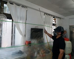 白蟻防治,白蟻保固,白蟻藥,白蟻窩,特滅多,蟻巢滅,除白蟻,白蟻怕什麼,白蟻藥,白蟻油,消滅白蟻的方法,白蟻線上看,白蟻幼蟲,白蟻種類,白蟻圖,白蟻DIY ,白蟻電影,白蟻照片,台北除白蟻,新北除白蟻,除白蟻公司,白蟻達人,白蟻專家,白蟻相關,板橋除白蟻,新莊除白蟻,樹林除白蟻 白蟻防治,白蟻保固,白蟻藥,白蟻窩,特滅多,蟻巢滅,除白蟻,白蟻怕什麼,白蟻藥,白蟻油,消滅白蟻的方法,白蟻線上看,白蟻幼蟲,白蟻種類,白蟻圖,白蟻DIY ,白蟻電影,白蟻照片,台北除白蟻,新北除白蟻,除白蟻公司,白蟻達人,白蟻專家,白蟻相關,板橋除白蟻,新莊除白蟻,樹林除白蟻