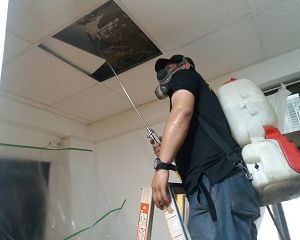 白蟻防治,白蟻保固,白蟻藥,白蟻窩,特滅多,蟻巢滅,除白蟻,白蟻怕什麼,白蟻藥,白蟻油,消滅白蟻的方法,白蟻線上看,白蟻幼蟲,白蟻種類,白蟻圖,白蟻DIY ,白蟻電影,白蟻照片,台北除白蟻,新北除白蟻,除白蟻公司,白蟻達人,白蟻專家,白蟻相關,板橋除白蟻,新莊除白蟻,樹林除白蟻 白蟻防治,白蟻保固,白蟻藥,白蟻窩,特滅多,蟻巢滅,除白蟻,白蟻怕什麼,白蟻藥,白蟻油,消滅白蟻的方法,白蟻線上看,白蟻幼蟲,白蟻種類,白蟻圖,白蟻DIY ,白蟻電影,白蟻照片,台北除白蟻,新北除白蟻,除白蟻公司,白蟻達人,白蟻專家,白蟻相關,板橋除白蟻,新莊除白蟻,樹林除白蟻