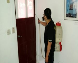 白蟻防治,白蟻保固,白蟻藥,白蟻窩,特滅多,蟻巢滅,除白蟻,白蟻怕什麼,白蟻藥,白蟻油,消滅白蟻的方法,白蟻線上看,白蟻幼蟲,白蟻種類,白蟻圖,白蟻DIY ,白蟻電影,白蟻照片,台北除白蟻,新北除白蟻,除白蟻公司,白蟻達人,白蟻專家,白蟻相關,板橋除白蟻,新莊除白蟻,樹林除白蟻