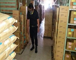 消毒公司,除蟲公司,白蟻保固,白蟻防治,消毒除蟲,坐月子中心消毒,產後護理之家消毒環境消毒,專業除蟲,辦公室消毒除蟲,社區消毒除蟲,餐廳消毒,蛀蟲防治,白蟻處理,除白蟻專家,台北除白蟻,台北除跳蚤,跳蚤處理,飯店消毒,飯店除蟲,蟑螂防治,跳蚤防治,病媒蚊消毒,臭蟲處理,臭蟲防治,姬薪蟲處理,菸甲蟲處理,消毒公司推薦,除蟲公司推薦,裝潢蟲處理,幼兒園消毒,住家消毒除蟲,白蟻防治,白蟻保固,白蟻藥,白蟻窩,特滅多,蟻巢滅,除白蟻,白蟻怕什麼,白蟻藥,白蟻油,消滅白蟻的方法,白蟻線上看,白蟻幼蟲,白蟻種類,白蟻圖,白蟻DIY ,白蟻電影,白蟻照片,台北除白蟻,新北除白蟻,除白蟻公司,白蟻達人,白蟻專家,白蟻相關,板橋除白蟻,新莊除白蟻,樹林除白蟻