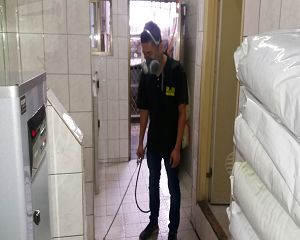 消毒公司,除蟲公司,白蟻保固,白蟻防治,消毒除蟲,坐月子中心消毒,產後護理之家消毒環境消毒,專業除蟲,辦公室消毒除蟲,社區消毒除蟲,餐廳消毒,蛀蟲防治,白蟻處理,除白蟻專家,台北除白蟻,台北除跳蚤,跳蚤處理,飯店消毒,飯店除蟲,蟑螂防治,跳蚤防治,病媒蚊消毒,臭蟲處理,臭蟲防治,姬薪蟲處理,菸甲蟲處理,消毒公司推薦,除蟲公司推薦,裝潢蟲處理,幼兒園消毒,住家消毒除蟲,白蟻防治,白蟻保固,白蟻藥,白蟻窩,特滅多,蟻巢滅,除白蟻,白蟻怕什麼,白蟻藥,白蟻油,消滅白蟻的方法,白蟻線上看,白蟻幼蟲,白蟻種類,白蟻圖,白蟻DIY ,白蟻電影,白蟻照片,台北除白蟻,新北除白蟻,除白蟻公司,白蟻達人,白蟻專家,白蟻相關,板橋除白蟻,新莊除白蟻,樹林除白蟻