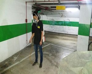 板橋消毒,板橋除蟲,新莊消毒,新莊除蟲,土城消毒,土城除蟲,五股消毒,五股除蟲,三重消毒,三重除蟲,中和消毒,中和除蟲,新店消毒,新店除蟲,中和消毒,中和除蟲,新店消毒,新店除蟲,永和除蟲,永和消毒,蘆洲除蟲,蘆洲消毒,三峽消毒,三峽除蟲,泰山消毒,泰山除蟲,樹林消毒,樹林除蟲,林口消毒,林口除蟲,迴龍消毒,迴龍除蟲,龜山消毒,龜山除蟲,台北市(全區)消毒除蟲,辦公室消毒(除蟲),社區消毒公告,社區環境消毒,社區消毒費用,社區消毒注意事項,社區消毒藥劑,社區消毒申請,社區消毒招標,社區大樓消毒,社區消毒公司,社區消毒,社區消毒公告,餐廳消毒(除蟲),餐廳消毒公司,餐廳消毒費用,餐廳消毒方法,餐廳消毒法規,餐廳消毒公告,餐廳消毒公司,環境消毒(除蟲),餐廳消毒(除蟲),環境消毒(除蟲),殺菌工程,辦公室消毒,辦公室消毒注意事項,辦公室消毒公告,辦公室消毒公司,辦公室消毒費用,辦公室消毒,辦公室消毒方式,辦公室消毒方法,辦公室消毒 diy,家裡消毒,家裡消毒方法,家裡消毒都用什麼消毒,消毒殺菌,家裡消毒要用什麼,居家消毒(除蟲),家裡除蟲,家裡除蚤,家裡除臭,家裡除蟑螂,跳蚤,跳蚤咬,跳蚤咬傷症狀,跳蚤防治,跳蚤怕什麼,跳蚤咬傷藥膏,跳蚤咬傷症狀,螞蟻怕什麼,螞蟻藥,白蟻防治,白蟻藥哪裡買,白蟻怕什麼,螞蟻怕什麼,白蟻消滅,白蟻藥,殺白蟻藥,殺白蟻的方法,殺白蟻公司,殺白蟻費用,蟑螂藥,蟑螂怕什麼,蟑螂圖片,蟑螂炸彈,蟑螂,蟑螂蛋,蟑螂小強,殺蟑螂最有效的方法,殺跳蚤的方法,殺跳蚤藥,殺跳蚤 diy,殺跳蚤殺蟲劑,殺跳蚤水煙,殺跳蚤卵,殺跳蚤公司,殺跳蚤劑,殺螞蟻的方法,殺螞蟻藥,殺螞蟻最有效的方法,殺螞蟻硼酸,殺螞蟻硼砂,殺螞蟻妙方,殺螞蟻窩,殺螞蟻硼酸,殺臭蟲方法,殺臭蟲藥,殺臭蟲劑,殺臭蟲公司,殺臭蟲水煙,殺臭蟲藥劑,殺蛀蟲藥,殺蛀蟲方法,殺蛀蟲劑,殺蛀蟲藥哪買,殺塵蹣,消毒公司推薦,除蟲公司推薦,除蟲專家,消毒清潔,飯店消毒除蟲,木板防蟲處理,防蟲處理,公司消毒除蟲,白蟻防治,KTV酒店消毒除蟲,廠房消毒除蟲,學校消毒除蟲,幼稚園消毒除蟲殺菌,空間殺菌,市場消毒除蟲,工廠消毒除蟲,汽車旅館消毒除蟲,住家消毒除蟲,大樓消毒除蟲,醫院消毒除蟲,機關消毒除蟲,公共場所消毒除蟲,鐵皮屋消毒除蟲,木料防治,腸病毒處理,除蟲公司價錢,消毒公司價錢,便宜消毒,跳蚤處理,白蟻處理,養老院消毒除蟲,營業場所消毒除蟲,蚊子,蒼蠅,蟑螂,德國蟑螂,老鼠,跳蚤,白蟻,蛀蟲,姬薪蟲,嚙蟲,臭蟲,台北消毒，台北除蟲，新北除蟲，新北消毒，板橋消毒，板橋除蟲，白蟻防治，餐廳消毒，消毒公司，除蟲公司，白蟻保固，環境消毒，辦公室消毒，台北除白蟻，除蟲專家，台北除跳蚤，消毒除蟲，蟲害防治，居家除蟲,除蟲服務,社區消毒,幼兒園消毒,托嬰中心消毒,跳蚤防治,跳蚤處理,殺跳蚤,早餐店消毒除蟑,紅火蟻,荔枝椿象