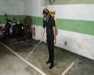 板橋消毒,板橋除蟲,新莊消毒,新莊除蟲,土城消毒,土城除蟲,五股消毒,五股除蟲,三重消毒,三重除蟲,中和消毒,中和除蟲,新店消毒,新店除蟲,中和消毒,中和除蟲,新店消毒,新店除蟲,永和除蟲,永和消毒,蘆洲除蟲,蘆洲消毒,三峽消毒,三峽除蟲,泰山消毒,泰山除蟲,樹林消毒,樹林除蟲,林口消毒,林口除蟲,迴龍消毒,迴龍除蟲,龜山消毒,龜山除蟲,台北市(全區)消毒除蟲,辦公室消毒(除蟲),社區消毒公告,社區環境消毒,社區消毒費用,社區消毒注意事項,社區消毒藥劑,社區消毒申請,社區消毒招標,社區大樓消毒,社區消毒公司,社區消毒,社區消毒公告,餐廳消毒(除蟲),餐廳消毒公司,餐廳消毒費用,餐廳消毒方法,餐廳消毒法規,餐廳消毒公告,餐廳消毒公司,環境消毒(除蟲),餐廳消毒(除蟲),環境消毒(除蟲),殺菌工程,辦公室消毒,辦公室消毒注意事項,辦公室消毒公告,辦公室消毒公司,辦公室消毒費用,辦公室消毒,辦公室消毒方式,辦公室消毒方法,辦公室消毒 diy,家裡消毒,家裡消毒方法,家裡消毒都用什麼消毒,消毒殺菌,家裡消毒要用什麼,居家消毒(除蟲),家裡除蟲,家裡除蚤,家裡除臭,家裡除蟑螂,跳蚤,跳蚤咬,跳蚤咬傷症狀,跳蚤防治,跳蚤怕什麼,跳蚤咬傷藥膏,跳蚤咬傷症狀,螞蟻怕什麼,螞蟻藥,白蟻防治,白蟻藥哪裡買,白蟻怕什麼,螞蟻怕什麼,白蟻消滅,白蟻藥,殺白蟻藥,殺白蟻的方法,殺白蟻公司,殺白蟻費用,蟑螂藥,蟑螂怕什麼,蟑螂圖片,蟑螂炸彈,蟑螂,蟑螂蛋,蟑螂小強,殺蟑螂最有效的方法,殺跳蚤的方法,殺跳蚤藥,殺跳蚤 diy,殺跳蚤殺蟲劑,殺跳蚤水煙,殺跳蚤卵,殺跳蚤公司,殺跳蚤劑,殺螞蟻的方法,殺螞蟻藥,殺螞蟻最有效的方法,殺螞蟻硼酸,殺螞蟻硼砂,殺螞蟻妙方,殺螞蟻窩,殺螞蟻硼酸,殺臭蟲方法,殺臭蟲藥,殺臭蟲劑,殺臭蟲公司,殺臭蟲水煙,殺臭蟲藥劑,殺蛀蟲藥,殺蛀蟲方法,殺蛀蟲劑,殺蛀蟲藥哪買,殺塵蹣,消毒公司推薦,除蟲公司推薦,除蟲專家,消毒清潔,飯店消毒除蟲,木板防蟲處理,防蟲處理,公司消毒除蟲,白蟻防治,KTV酒店消毒除蟲,廠房消毒除蟲,學校消毒除蟲,幼稚園消毒除蟲殺菌,空間殺菌,市場消毒除蟲,工廠消毒除蟲,汽車旅館消毒除蟲,住家消毒除蟲,大樓消毒除蟲,醫院消毒除蟲,機關消毒除蟲,公共場所消毒除蟲,鐵皮屋消毒除蟲,木料防治,腸病毒處理,除蟲公司價錢,消毒公司價錢,便宜消毒,跳蚤處理,白蟻處理,養老院消毒除蟲,營業場所消毒除蟲,蚊子,蒼蠅,蟑螂,德國蟑螂,老鼠,跳蚤,白蟻,蛀蟲,姬薪蟲,嚙蟲,臭蟲,台北消毒，台北除蟲，新北除蟲，新北消毒，板橋消毒，板橋除蟲，白蟻防治，餐廳消毒，消毒公司，除蟲公司，白蟻保固，環境消毒，辦公室消毒，台北除白蟻，除蟲專家，台北除跳蚤，消毒除蟲，蟲害防治，居家除蟲,除蟲服務,社區消毒,幼兒園消毒,托嬰中心消毒,跳蚤防治,跳蚤處理,殺跳蚤,早餐店消毒除蟑,紅火蟻,荔枝椿象