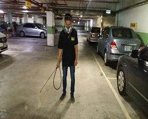 板橋消毒,板橋除蟲,新莊消毒,新莊除蟲,土城消毒,土城除蟲,五股消毒,五股除蟲,三重消毒,三重除蟲,中和消毒,中和除蟲,新店消毒,新店除蟲,中和消毒,中和除蟲,新店消毒,新店除蟲,永和除蟲,永和消毒,蘆洲除蟲,蘆洲消毒,三峽消毒,三峽除蟲,泰山消毒,泰山除蟲,樹林消毒,樹林除蟲,林口消毒,林口除蟲,迴龍消毒,迴龍除蟲,龜山消毒,龜山除蟲,台北市(全區)消毒除蟲,辦公室消毒(除蟲),社區消毒公告,社區環境消毒,社區消毒費用,社區消毒注意事項,社區消毒藥劑,社區消毒申請,社區消毒招標,社區大樓消毒,社區消毒公司,社區消毒,社區消毒公告,餐廳消毒(除蟲),餐廳消毒公司,餐廳消毒費用,餐廳消毒方法,餐廳消毒法規,餐廳消毒公告,餐廳消毒公司,環境消毒(除蟲),餐廳消毒(除蟲),環境消毒(除蟲),殺菌工程,辦公室消毒,辦公室消毒注意事項,辦公室消毒公告,辦公室消毒公司,辦公室消毒費用,辦公室消毒,辦公室消毒方式,辦公室消毒方法,辦公室消毒 diy,家裡消毒,家裡消毒方法,家裡消毒都用什麼消毒,消毒殺菌,家裡消毒要用什麼,居家消毒(除蟲),家裡除蟲,家裡除蚤,家裡除臭,家裡除蟑螂,跳蚤,跳蚤咬,跳蚤咬傷症狀,跳蚤防治,跳蚤怕什麼,跳蚤咬傷藥膏,跳蚤咬傷症狀,螞蟻怕什麼,螞蟻藥,白蟻防治,白蟻藥哪裡買,白蟻怕什麼,螞蟻怕什麼,白蟻消滅,白蟻藥,殺白蟻藥,殺白蟻的方法,殺白蟻公司,殺白蟻費用,蟑螂藥,蟑螂怕什麼,蟑螂圖片,蟑螂炸彈,蟑螂,蟑螂蛋,蟑螂小強,殺蟑螂最有效的方法,殺跳蚤的方法,殺跳蚤藥,殺跳蚤 diy,殺跳蚤殺蟲劑,殺跳蚤水煙,殺跳蚤卵,殺跳蚤公司,殺跳蚤劑,殺螞蟻的方法,殺螞蟻藥,殺螞蟻最有效的方法,殺螞蟻硼酸,殺螞蟻硼砂,殺螞蟻妙方,殺螞蟻窩,殺螞蟻硼酸,殺臭蟲方法,殺臭蟲藥,殺臭蟲劑,殺臭蟲公司,殺臭蟲水煙,殺臭蟲藥劑,殺蛀蟲藥,殺蛀蟲方法,殺蛀蟲劑,殺蛀蟲藥哪買,殺塵蹣,消毒公司推薦,除蟲公司推薦,除蟲專家,消毒清潔,飯店消毒除蟲,木板防蟲處理,防蟲處理,公司消毒除蟲,白蟻防治,KTV酒店消毒除蟲,廠房消毒除蟲,學校消毒除蟲,幼稚園消毒除蟲殺菌,空間殺菌,市場消毒除蟲,工廠消毒除蟲,汽車旅館消毒除蟲,住家消毒除蟲,大樓消毒除蟲,醫院消毒除蟲,機關消毒除蟲,公共場所消毒除蟲,鐵皮屋消毒除蟲,木料防治,腸病毒處理,除蟲公司價錢,消毒公司價錢,便宜消毒,跳蚤處理,白蟻處理,養老院消毒除蟲,營業場所消毒除蟲,蚊子,蒼蠅,蟑螂,德國蟑螂,老鼠,跳蚤,白蟻,蛀蟲,姬薪蟲,嚙蟲,臭蟲,台北消毒，台北除蟲，新北除蟲，新北消毒，板橋消毒，板橋除蟲，白蟻防治，餐廳消毒，消毒公司，除蟲公司，白蟻保固，環境消毒，辦公室消毒，台北除白蟻，除蟲專家，台北除跳蚤，消毒除蟲，蟲害防治，居家除蟲,除蟲服務,社區消毒,幼兒園消毒,托嬰中心消毒,跳蚤防治,跳蚤處理,殺跳蚤,早餐店消毒除蟑,紅火蟻,荔枝椿象