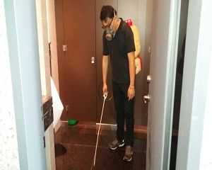 消毒公司,除蟲公司,白蟻保固,白蟻防治,消毒除蟲,坐月子中心消毒,產後護理之家消毒環境消毒,專業除蟲,辦公室消毒除蟲,社區消毒除蟲,餐廳消毒,蛀蟲防治,白蟻處理,除白蟻專家,台北除白蟻,台北除跳蚤,跳蚤處理,飯店消毒,飯店除蟲,蟑螂防治,跳蚤防治,病媒蚊消毒,臭蟲處理,臭蟲防治,姬薪蟲處理,菸甲蟲處理,消毒公司推薦,除蟲公司推薦,裝潢蟲處理,幼兒園消毒,住家消毒除蟲,白蟻防治,白蟻保固,白蟻藥,白蟻窩,特滅多,蟻巢滅,除白蟻,白蟻怕什麼,白蟻藥,白蟻油,消滅白蟻的方法,白蟻線上看,白蟻幼蟲,白蟻種類,白蟻圖,白蟻DIY ,白蟻電影,白蟻照片,台北除白蟻,新北除白蟻,除白蟻公司,白蟻達人,白蟻專家,白蟻相關,板橋除白蟻,新莊除白蟻,樹林除白蟻