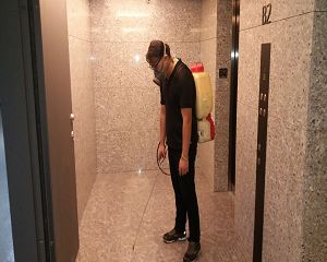 消毒公司,除蟲公司,白蟻保固,白蟻防治,消毒除蟲,坐月子中心消毒,產後護理之家消毒環境消毒,專業除蟲,辦公室消毒除蟲,社區消毒除蟲,餐廳消毒,蛀蟲防治,白蟻處理,除白蟻專家,台北除白蟻,台北除跳蚤,跳蚤處理,飯店消毒,飯店除蟲,蟑螂防治,跳蚤防治,病媒蚊消毒,臭蟲處理,臭蟲防治,姬薪蟲處理,菸甲蟲處理,消毒公司推薦,除蟲公司推薦,裝潢蟲處理,幼兒園消毒,住家消毒除蟲,白蟻防治,白蟻保固,白蟻藥,白蟻窩,特滅多,蟻巢滅,除白蟻,白蟻怕什麼,白蟻藥,白蟻油,消滅白蟻的方法,白蟻線上看,白蟻幼蟲,白蟻種類,白蟻圖,白蟻DIY ,白蟻電影,白蟻照片,台北除白蟻,新北除白蟻,除白蟻公司,白蟻達人,白蟻專家,白蟻相關,板橋除白蟻,新莊除白蟻,樹林除白蟻